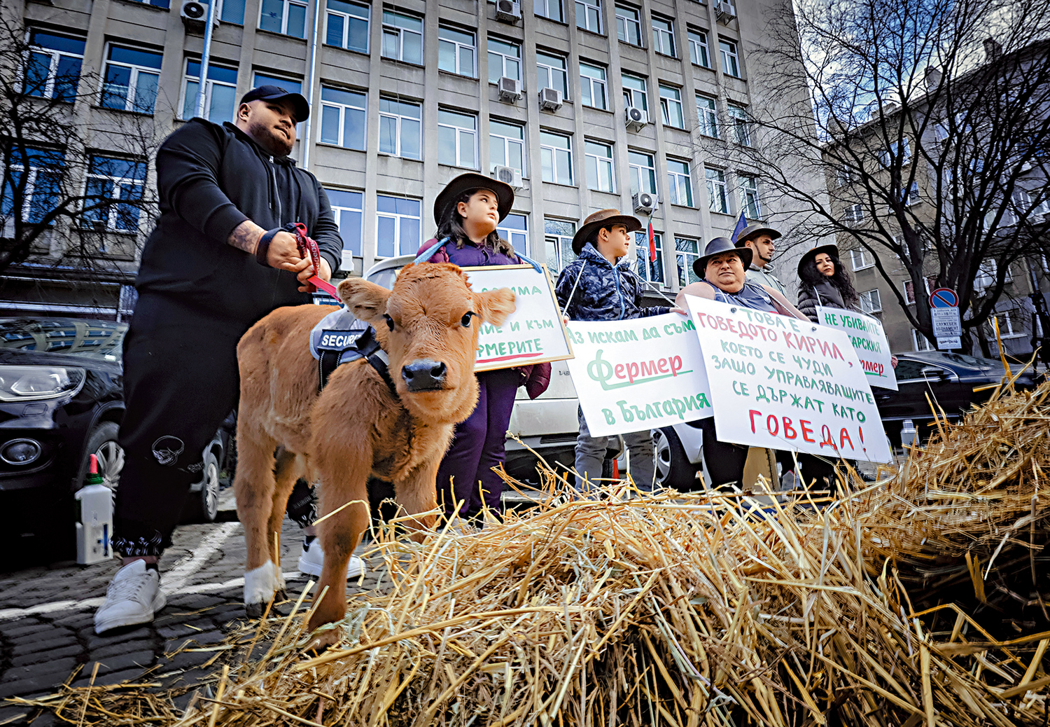 　　圖：保加利亞農民帶着一周大的小牛在農業部前抗議。\美聯社