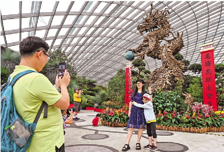 　　圖：2月1日，一名遊客在新加坡濱海灣花園的木龍主題雕塑前拍照。\法新社