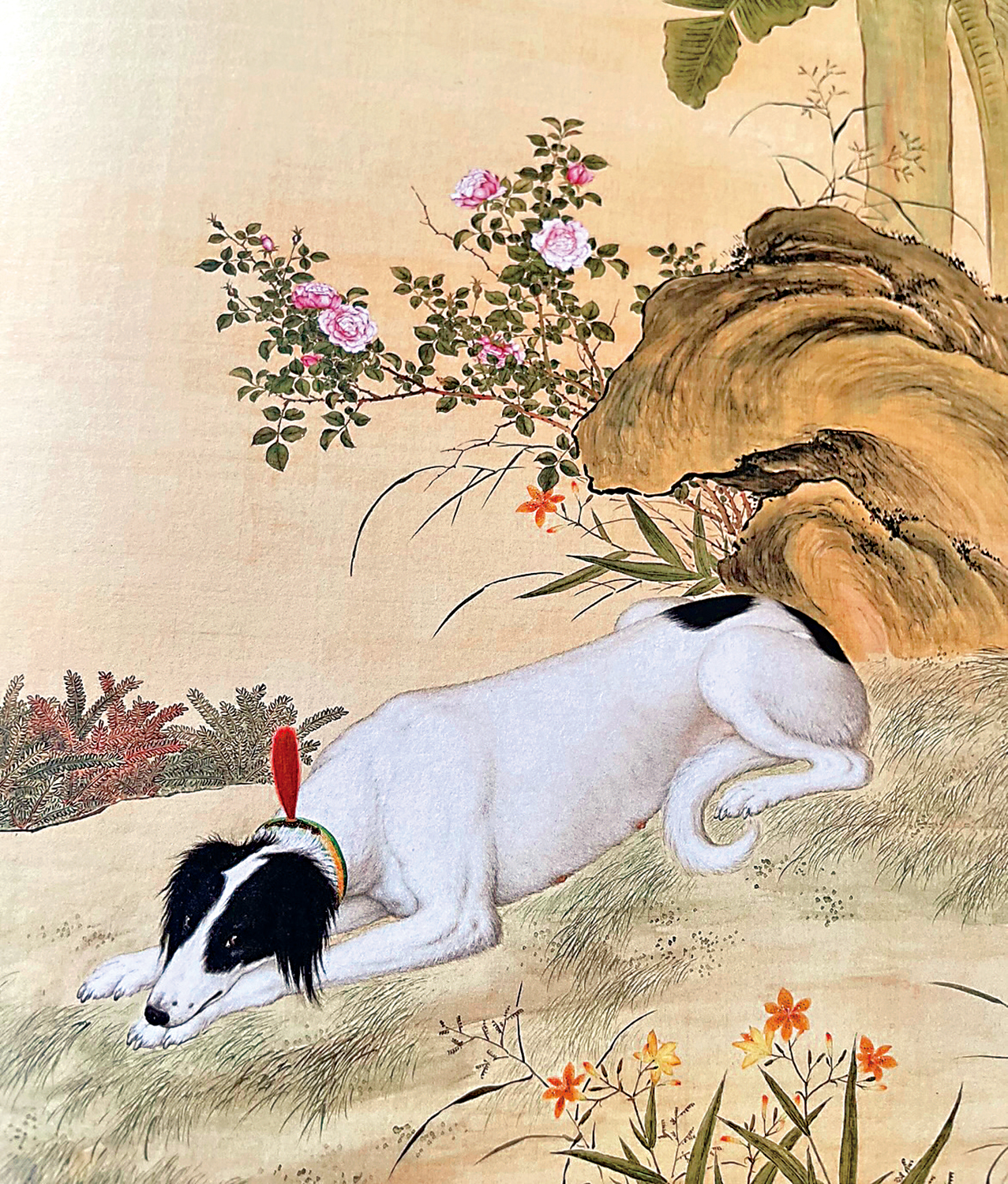 　　圖：郎世寧繪十駿犬之「驀空鵲」。