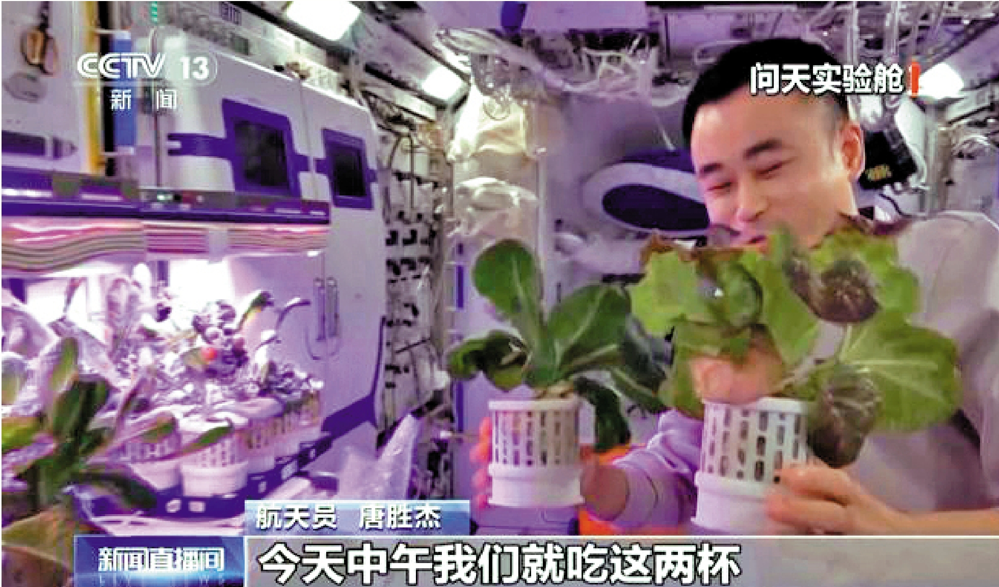 　　圖：神十七乘組在太空出差期間，「太空菜園」變得更大，長勢喜人，實現吃菜自由。