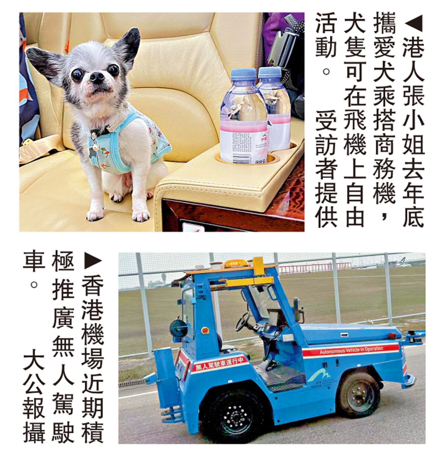 　　上圖：港人張小姐去年底攜愛犬乘搭商務機，犬隻可在飛機上自由活動。\受訪者提供；下圖：香港機場近期積極推廣無人駕駛車。\大公報攝