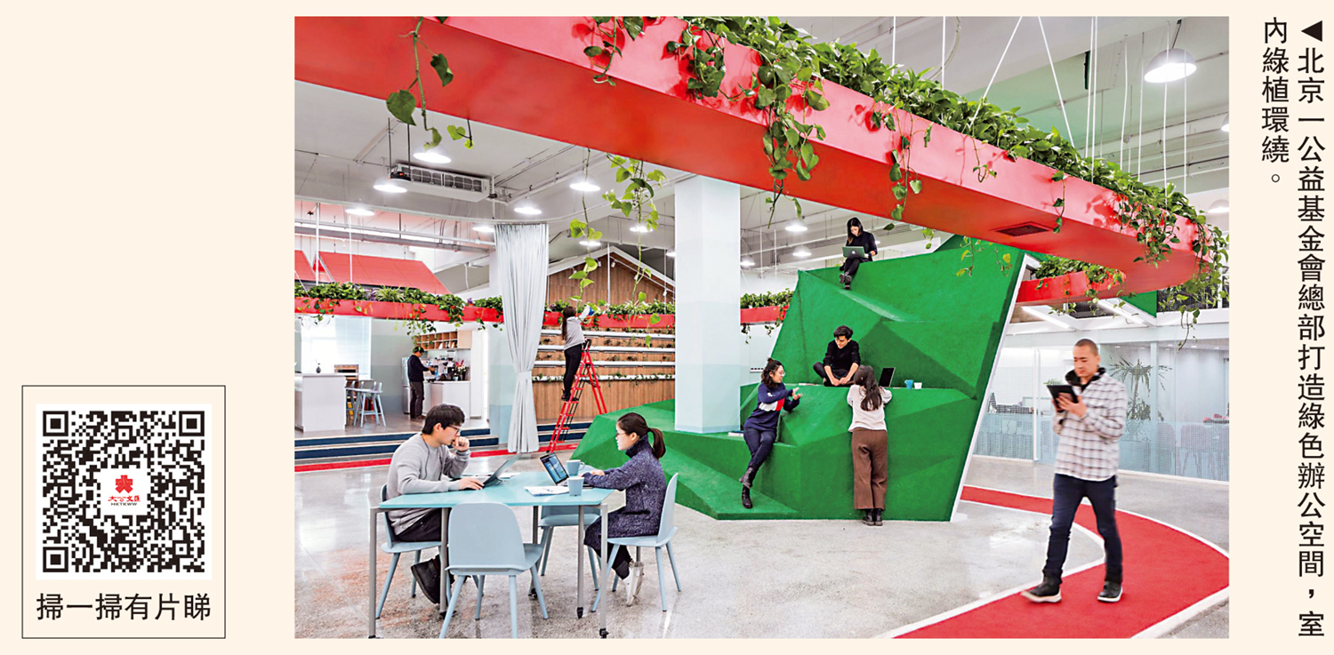 　　圖：北京一公益基金會總部打造綠色辦公空間，室內綠植環繞。