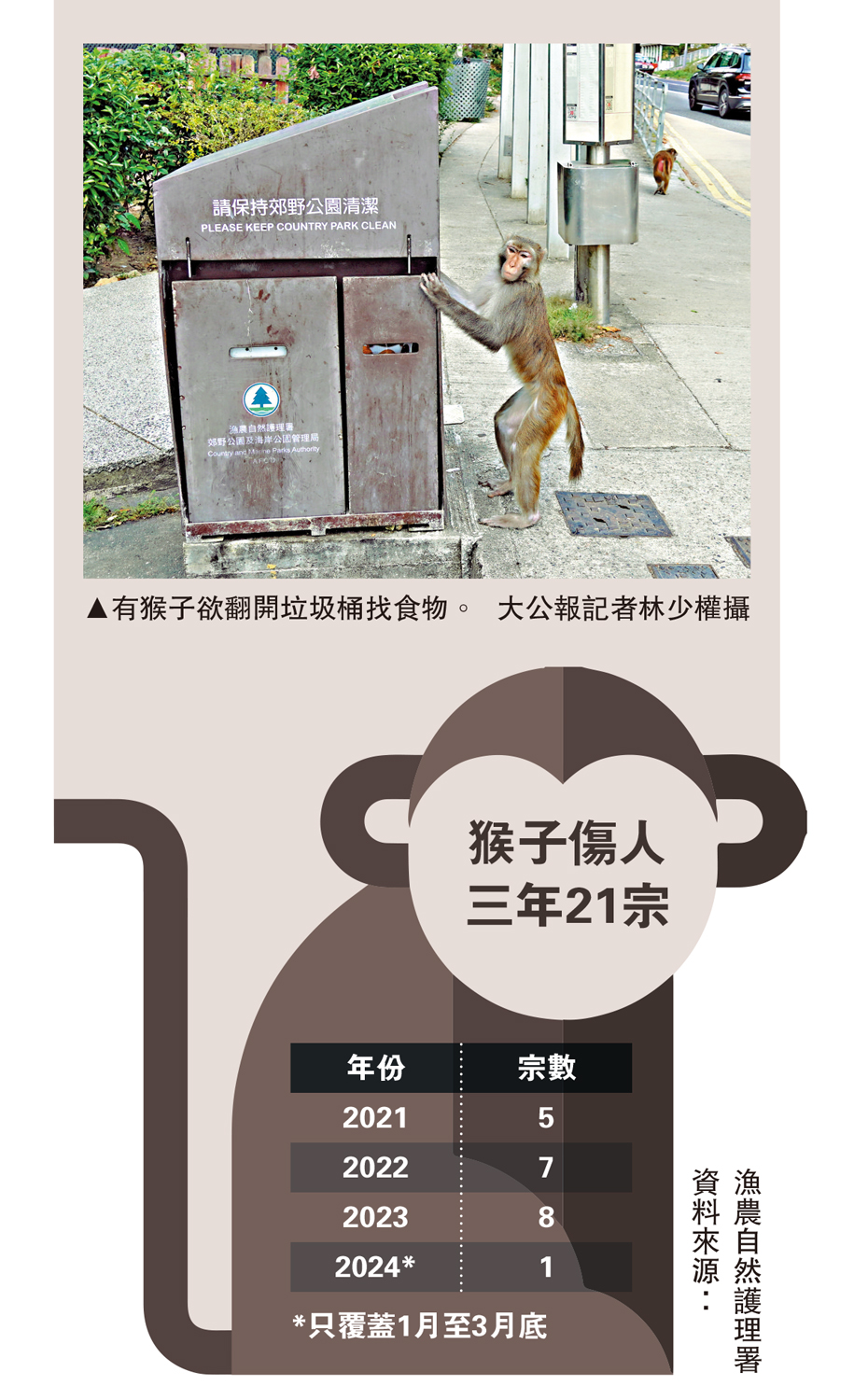 　　圖：有猴子欲翻開垃圾桶找食物。\大公報記者林少權攝