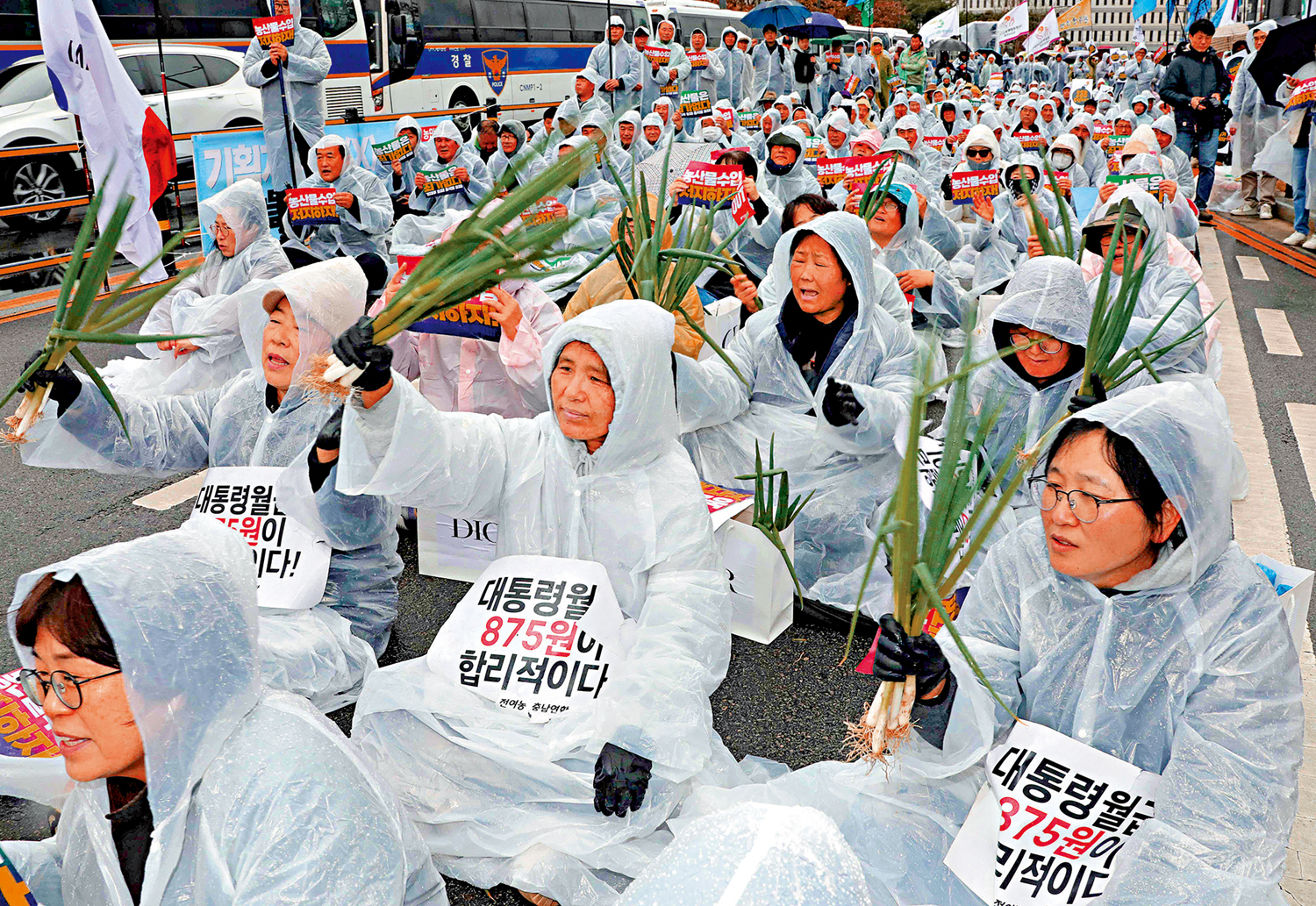 　　圖：3月25日，韓國民眾舉着大葱在世宗市政府大樓外舉行集會。\法新社