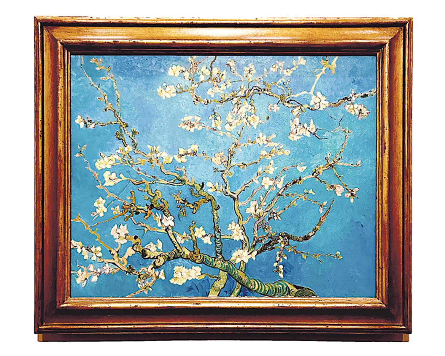 　　圖：《盛開的杏花》