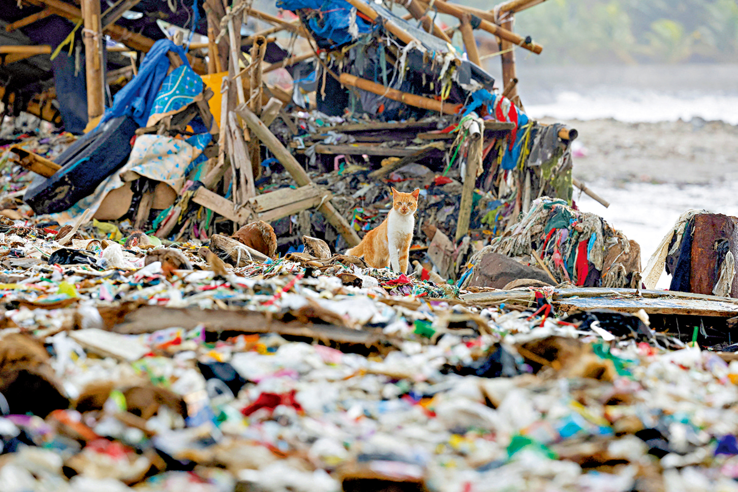 　　圖：海洋污染嚴重，印尼萬丹省海灘上鋪滿塑料和住戶垃圾。\路透社