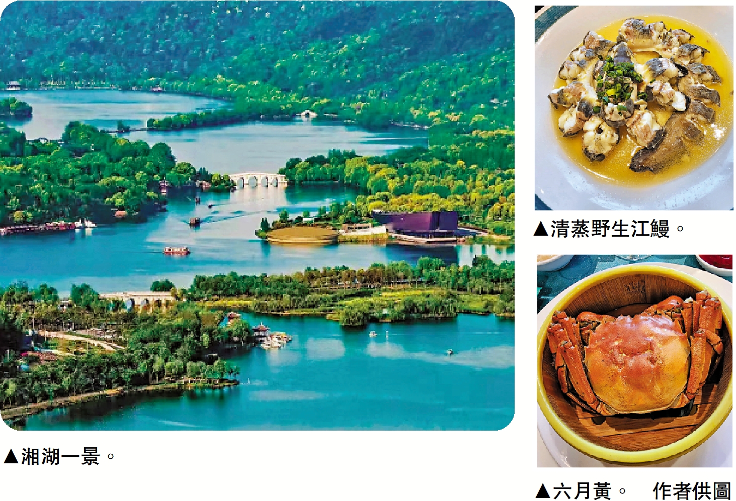 　　左圖：湘湖一景。右上圖：清蒸野生江鰻。右下圖：六月黃。\作者供圖