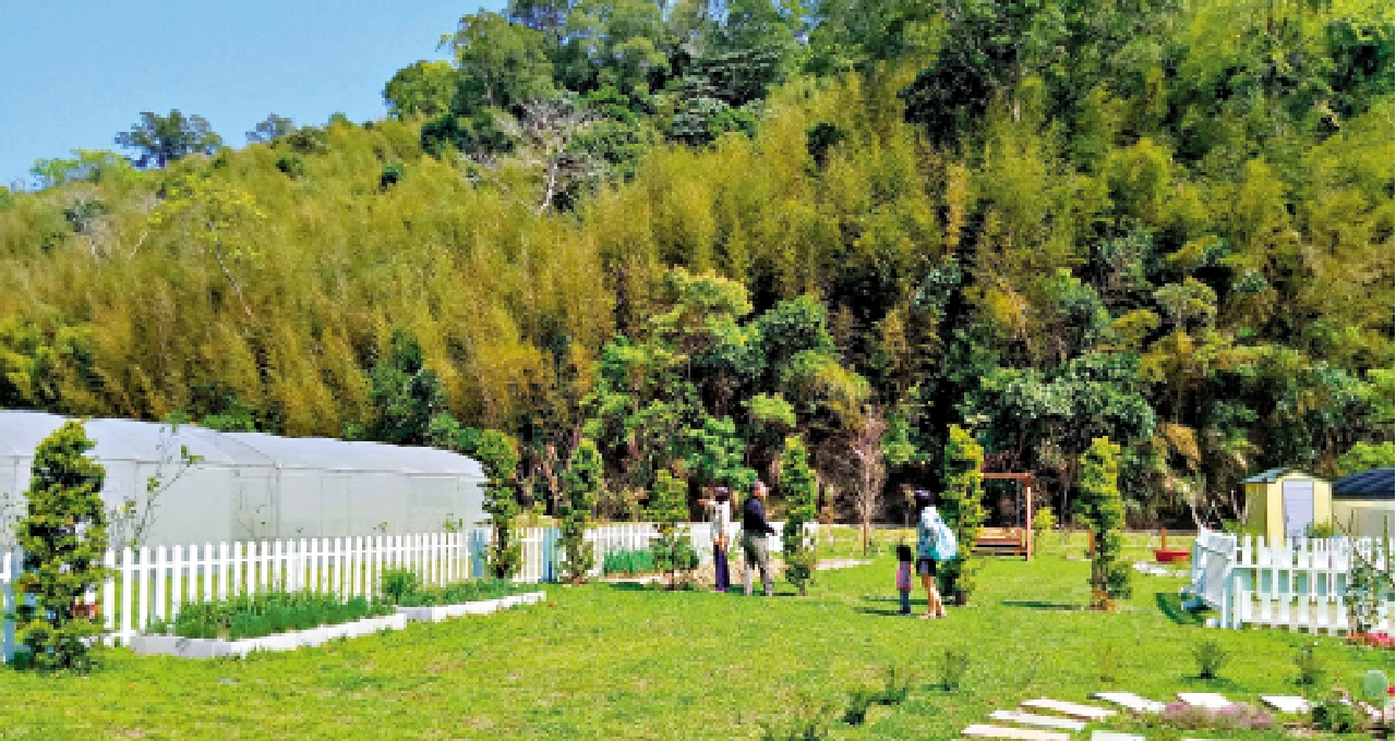 　　圖：漁農署推出「農＋樂」計劃，容許商業農場提供無火煮食等，發展休閒農業。