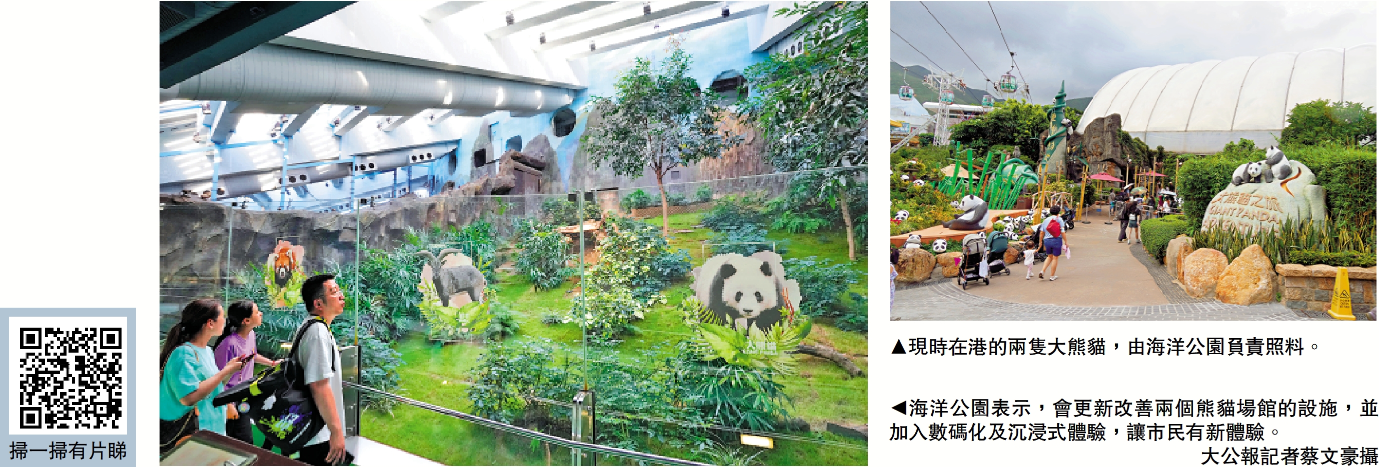 　　右圖：現時在港的兩隻大熊貓，由海洋公園負責照料。左圖：海洋公園表示，會更新改善兩個熊貓場館的設施，並加入數碼化及沉浸式體驗，讓市民有新體驗。\大公報記者蔡文豪攝