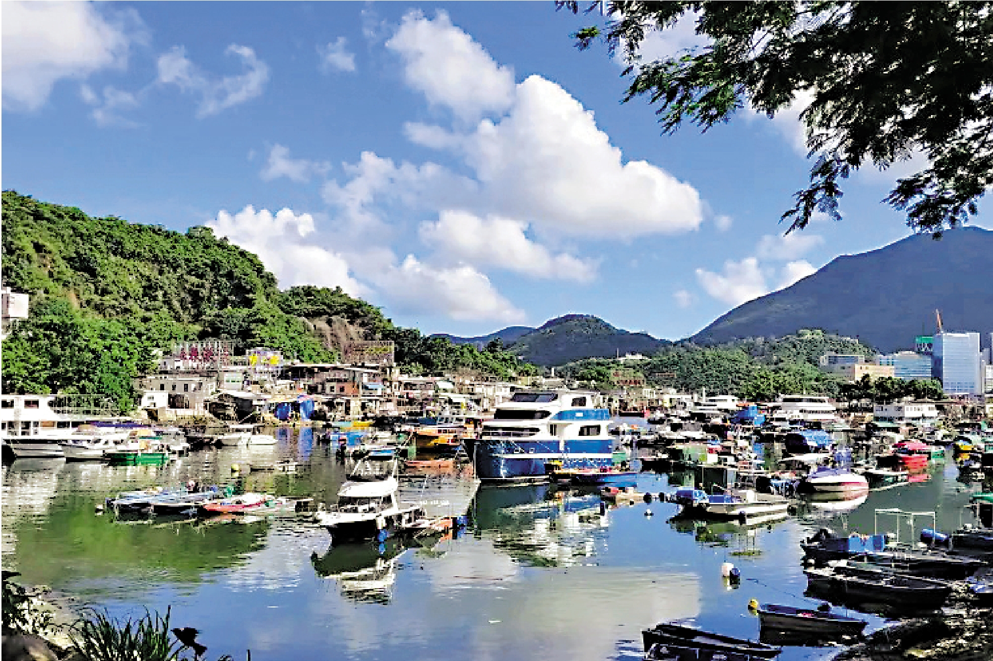 　　圖：鯉魚門的避風塘風光。