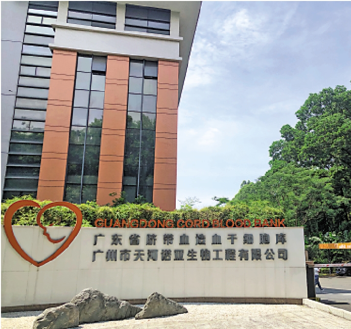 　　圖：廣東省臍帶血造血幹細胞庫擬於今日將一份臍帶血造血幹細胞跨境運達香港，救助一名香港女童。\大公報記者方俊明攝