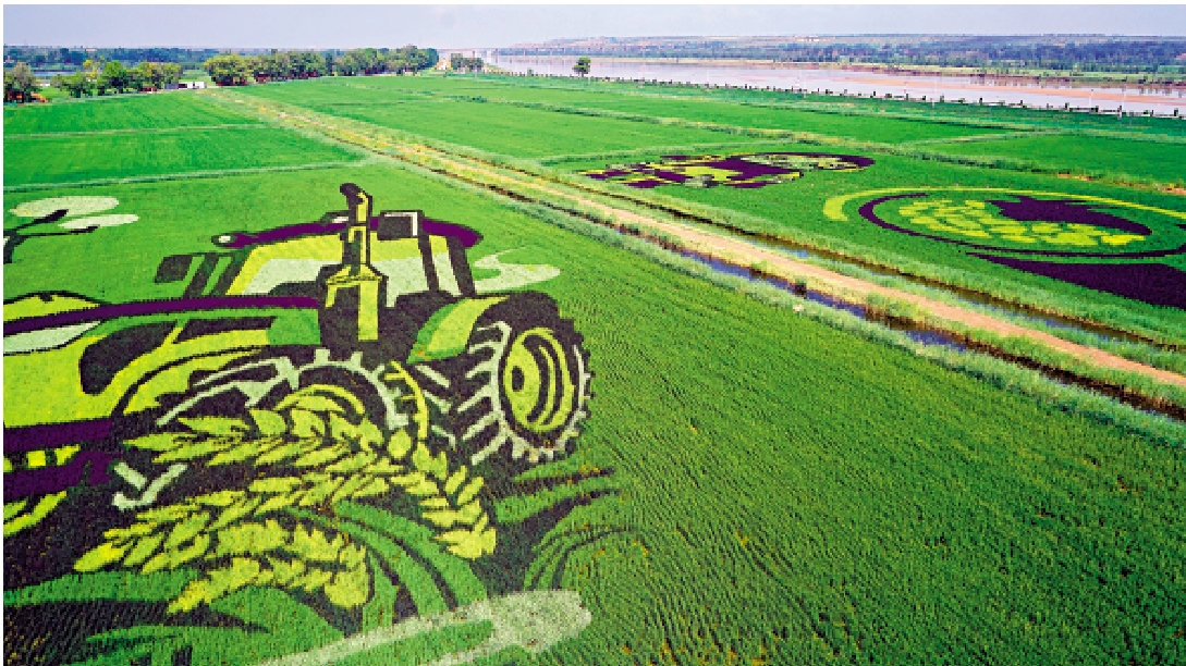 　　圖：黃河稻漁生態觀光園地處黃河流域的重要位置。\大公報實習記者李棟興攝