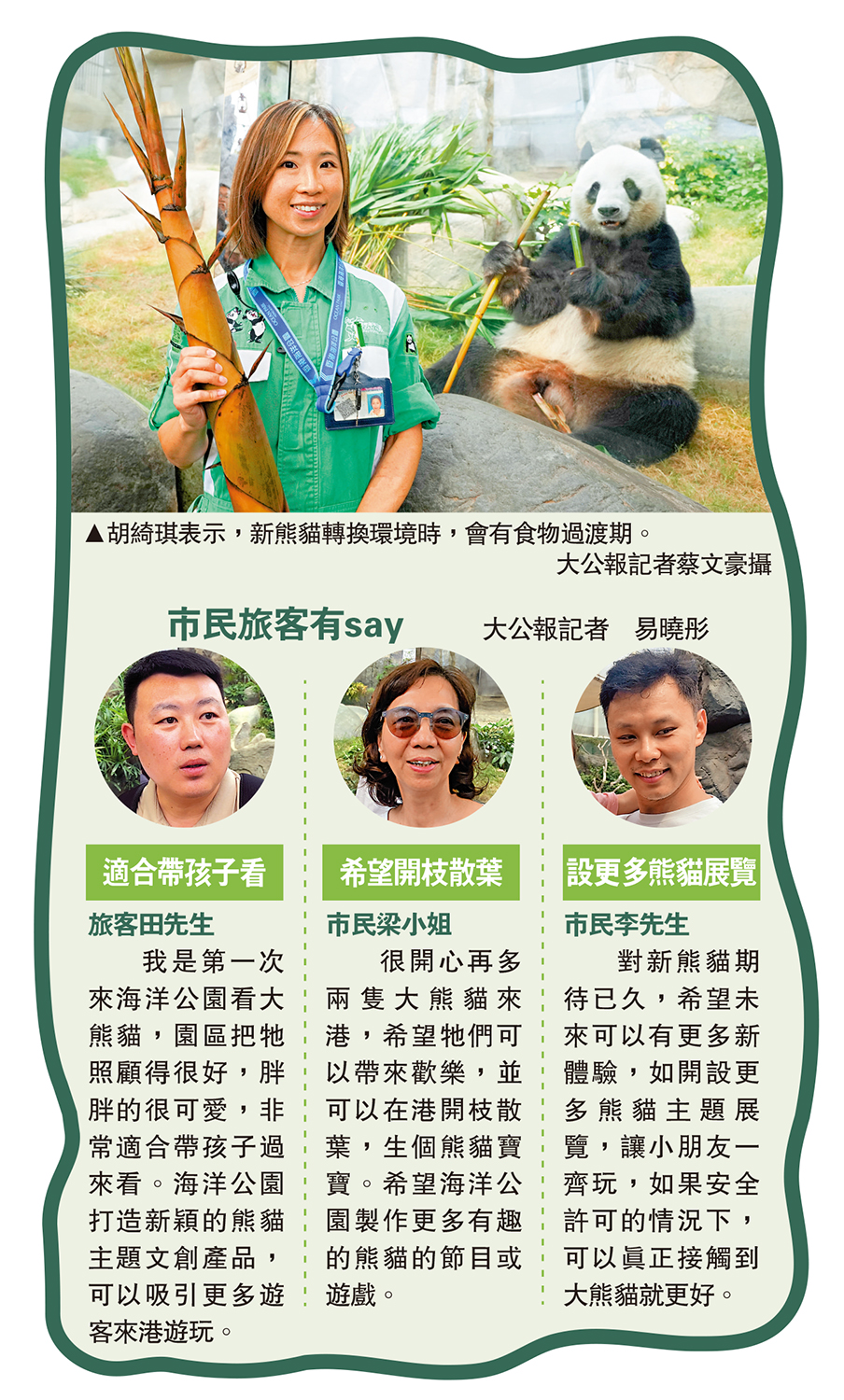 　　圖：胡綺琪表示，新熊貓轉換環境時，會有食物過渡期。\大公報記者蔡文豪攝