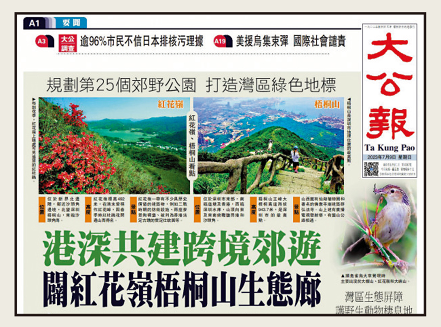 　　圖：《大公報》去年7月9日已頭版關注「紅花嶺─梧桐山生態廊道」的建設。