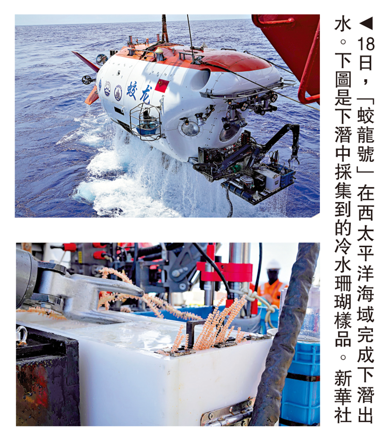 　　圖：18日，「蛟龍號」在西太平洋海域完成下潛出水。下圖是下潛中採集到的冷水珊瑚樣品。\新華社