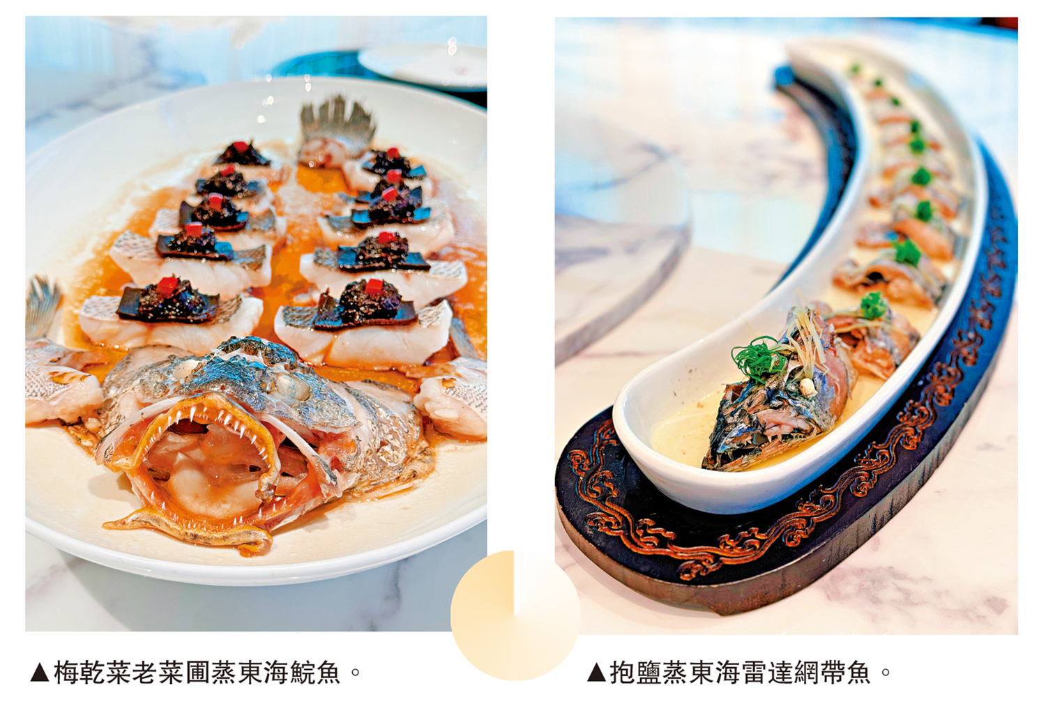 　　左圖：梅乾菜老菜圃蒸東海鯇魚。右圖：抱鹽蒸東海雷達網帶魚。