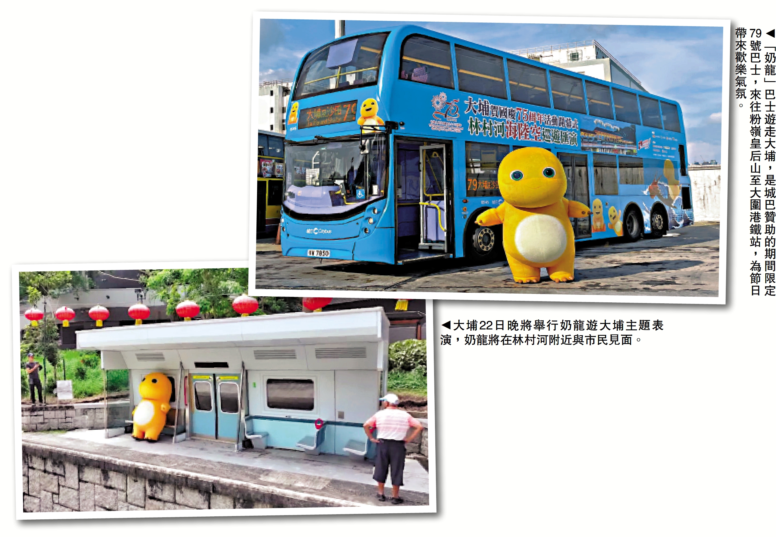　　左圖：大埔22日晚將舉行奶龍遊大埔主題表演，奶龍將在林村河附近與市民見面。右圖：「奶龍」巴士遊走大埔，是城巴贊助的期間限定79號巴士，來往粉嶺皇后山至大圍港鐵站，為節日帶來歡樂氣氛。