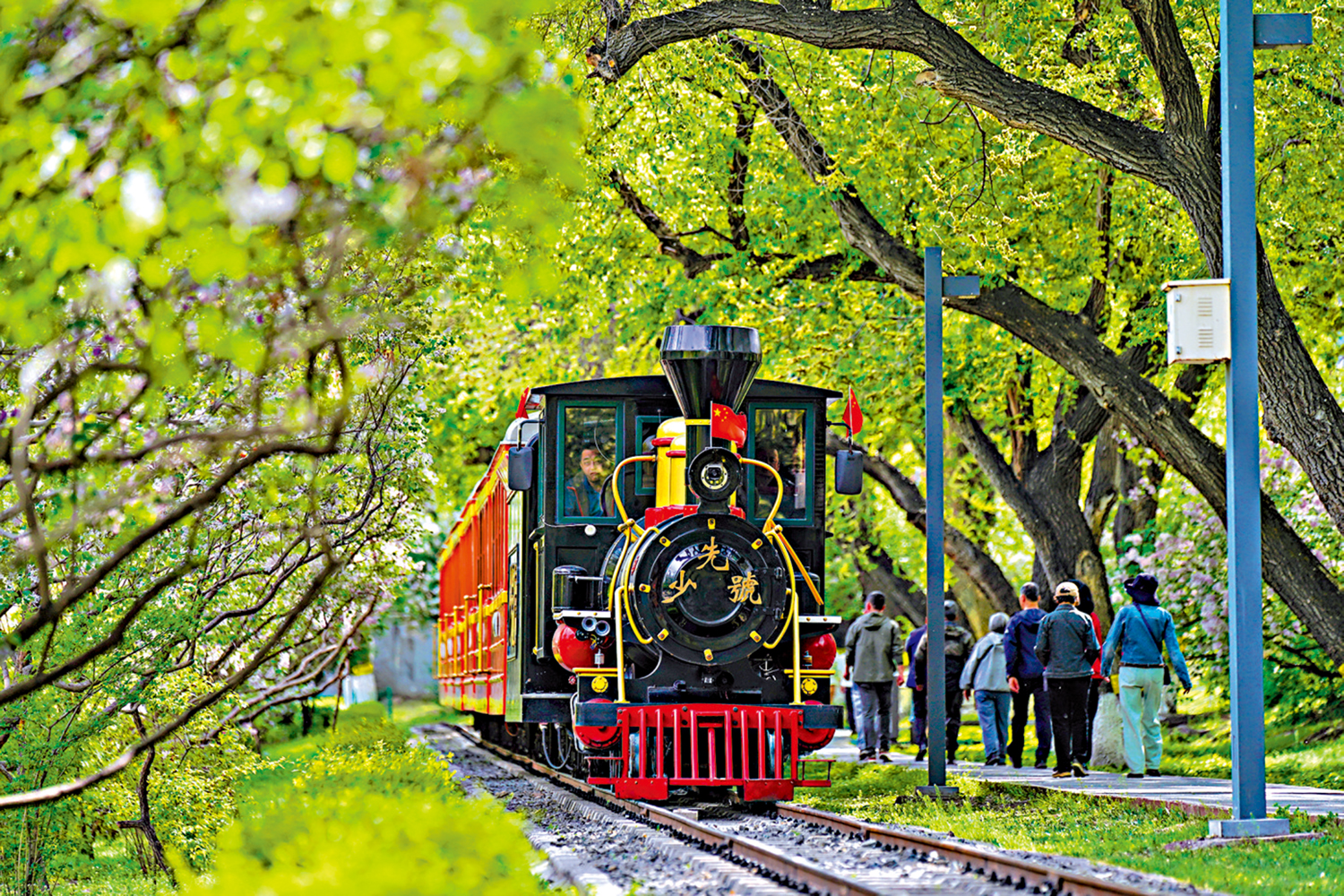 　　圖：哈爾濱兒童公園的小火車。\中新社