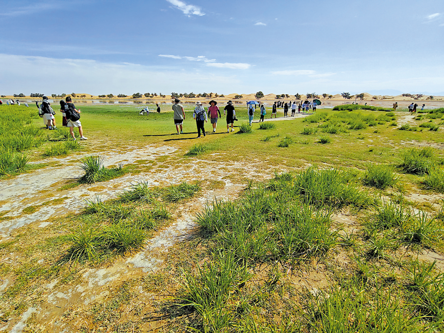 　　圖：巴丹吉林沙漠形成獨特的生態系統。\大公報記者王月攝