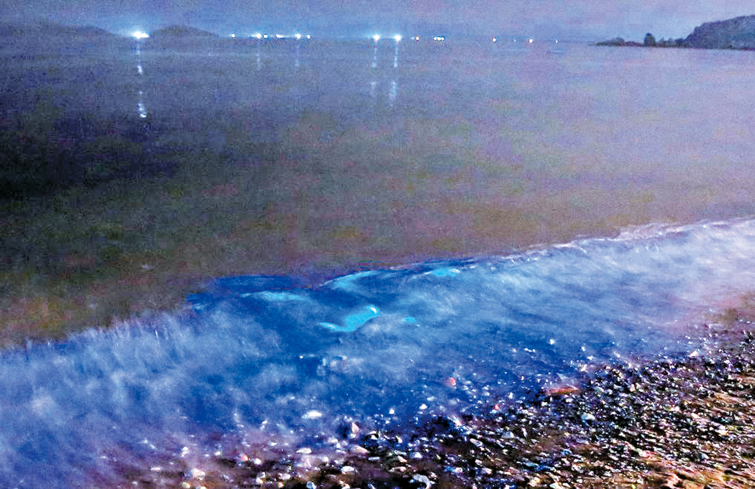 　　圖：遼寧大連大黑石浴場，海水發出藍色熒光。大連海洋大學專家採樣分析認為，大連海水出現「熒光海」現象是海水中聚集了鞭毛藻等發光微生物所致。\新華社