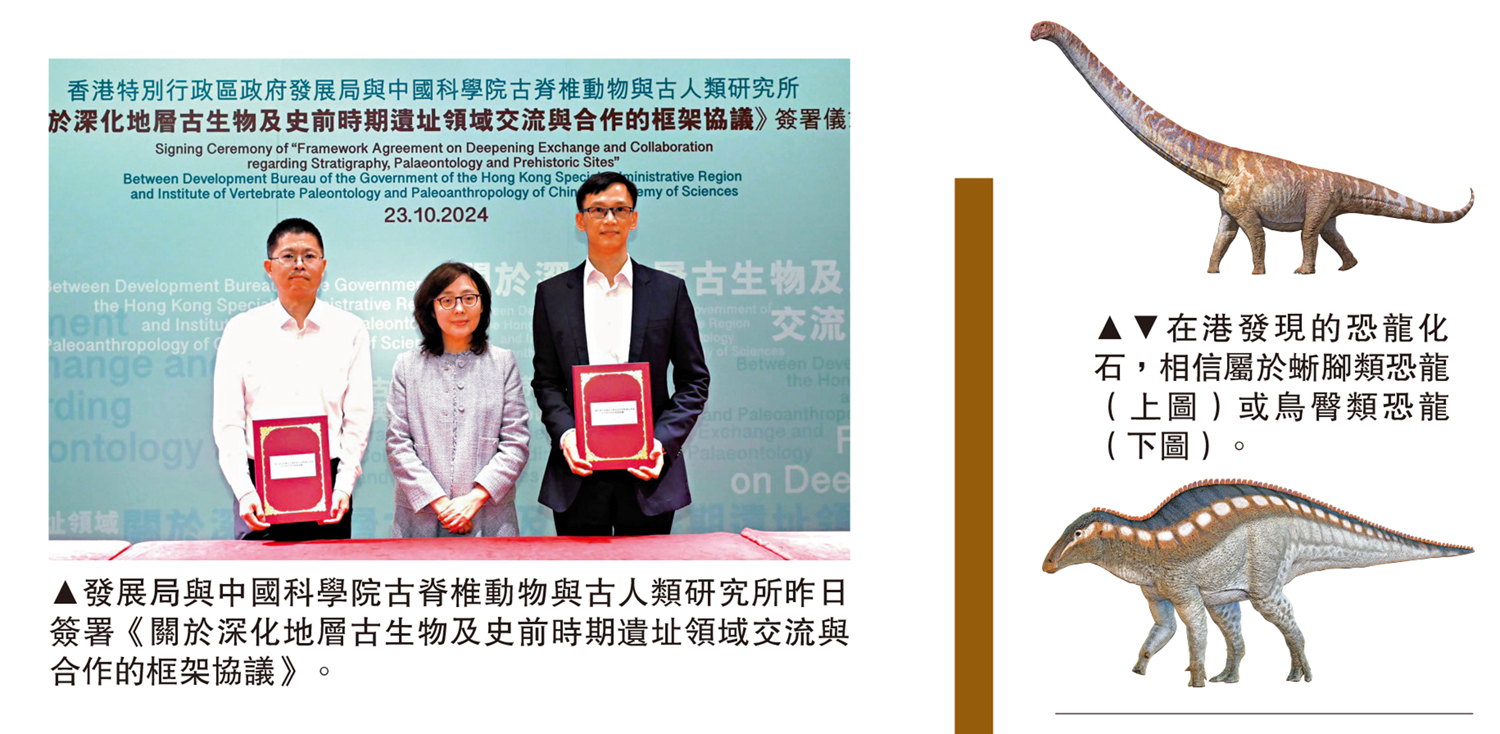 　　左圖：發展局與中國科學院古脊椎動物與古人類研究所昨日簽署《關於深化地層古生物及史前時期遺址領域交流與合作的框架協議》。右圖：在港發現的恐龍化石，相信屬於蜥腳類恐龍（上）或鳥臀類恐龍（下）。