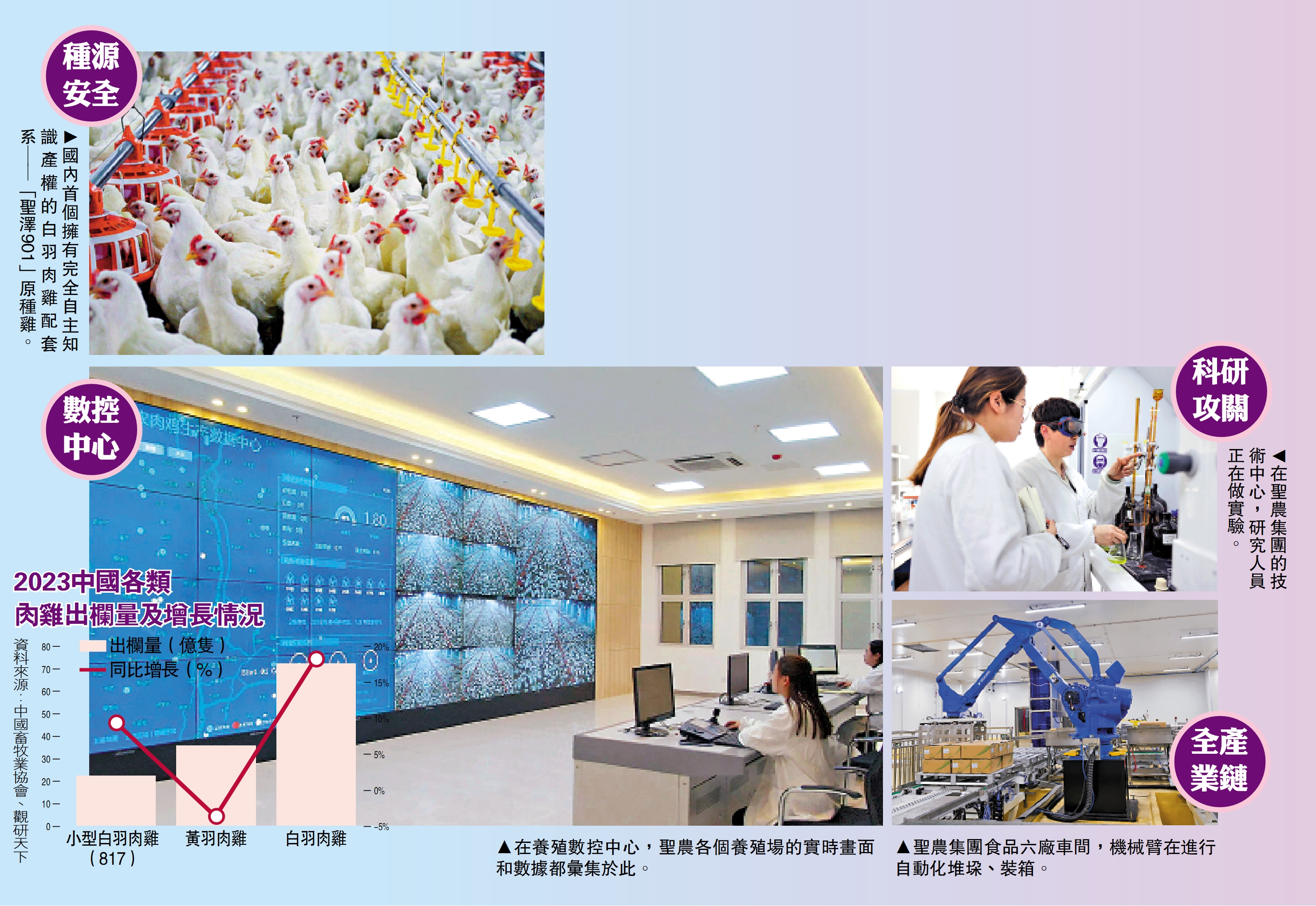 　　圖：2023中國各類肉雞出欄量及增長情況。