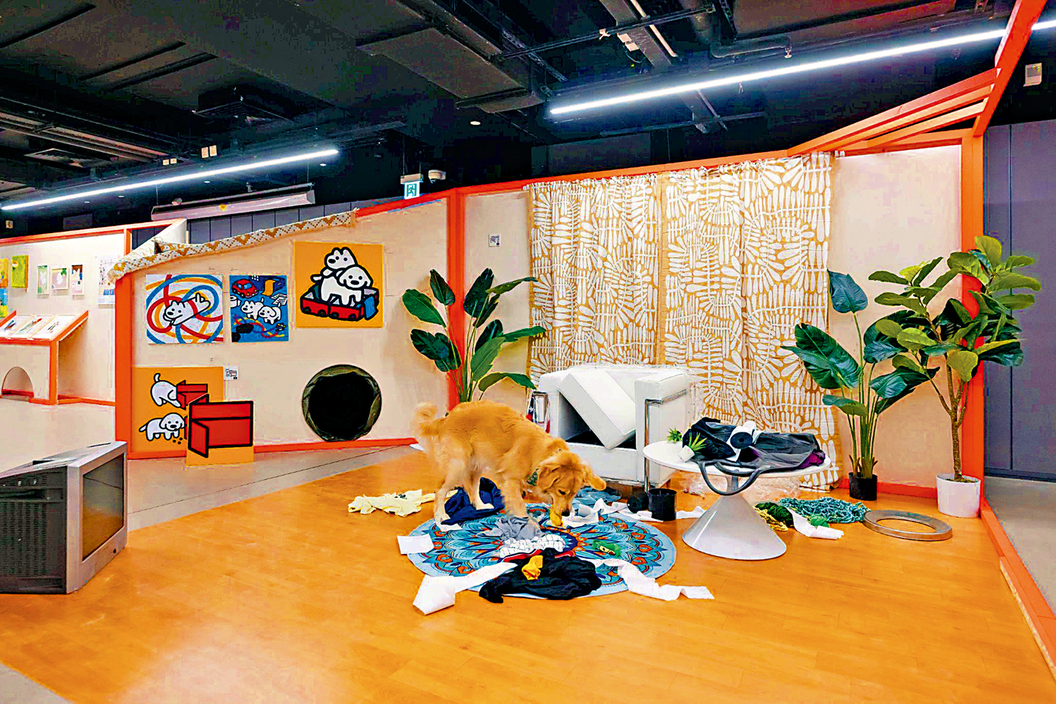 　　圖：展覽打卡區，重現毛孩們在家中製造的各種混亂場景。