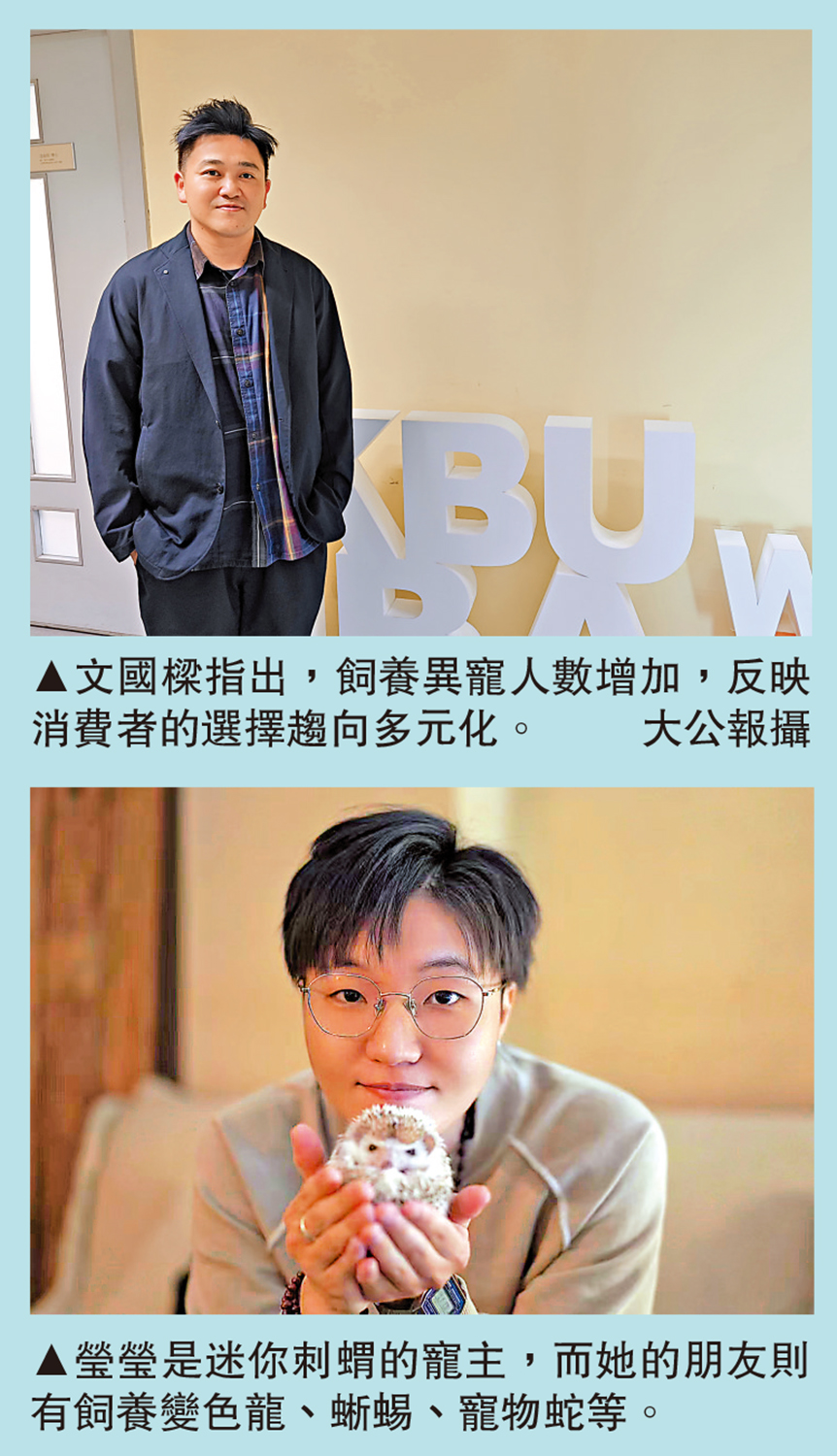 　　上圖：文國樑指出，飼養異寵人數增加，反映消費者的選擇趨向多元化。\大公報攝；下圖：瑩瑩是迷你刺蝟的寵主，而她的朋友則有飼養變色龍、蜥蜴、寵物蛇等。