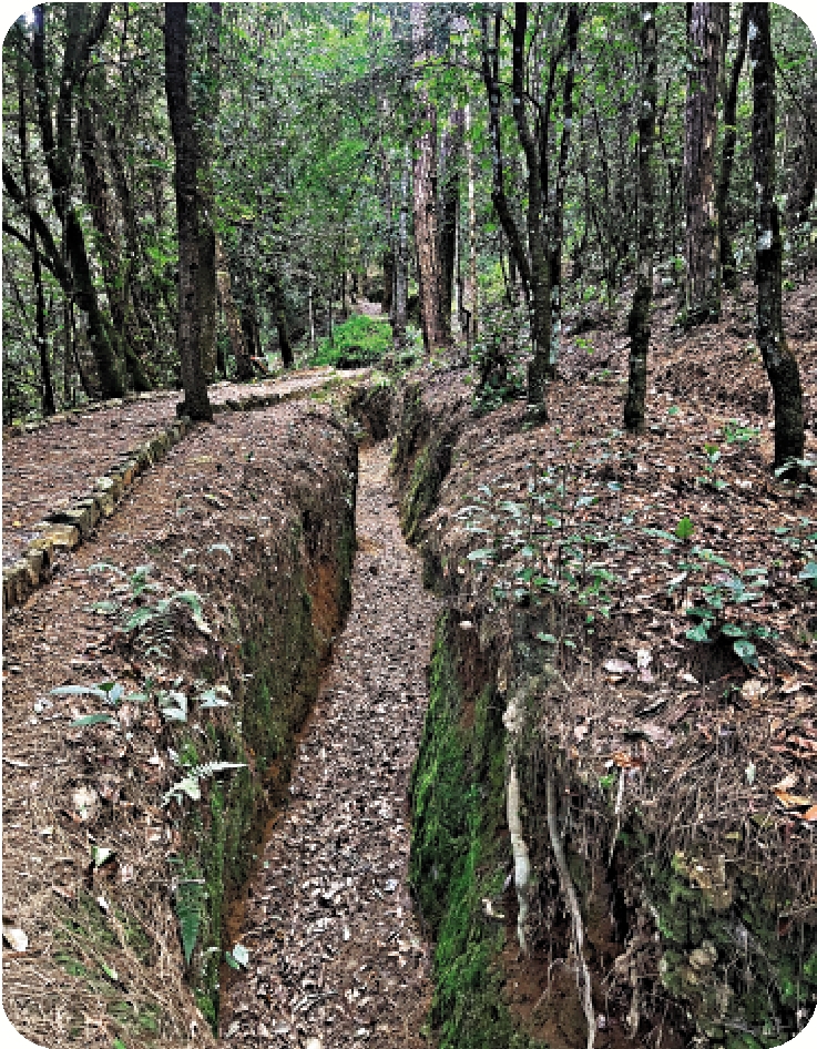 　　圖：滇西松山子高地的戰壕遺跡。\作者攝