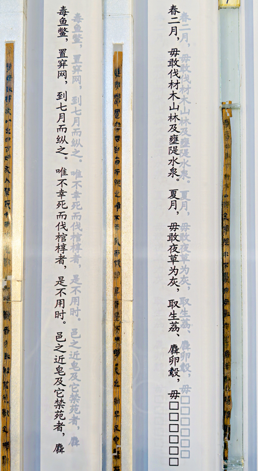 　　圖：雲夢睡虎地秦簡《田律》。