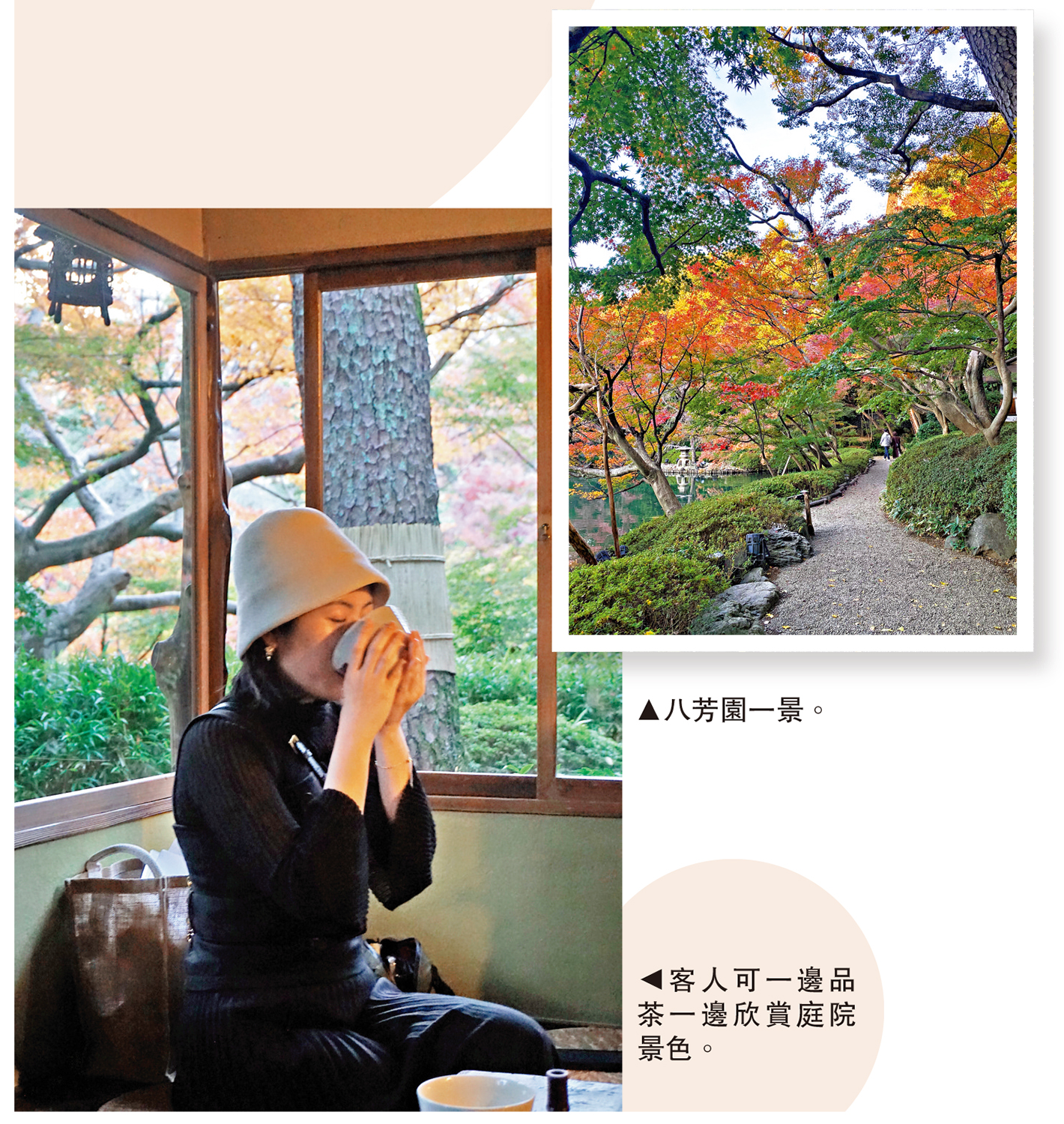 　　左圖：客人可一邊品茶一邊欣賞庭院景色。右圖：八芳園一景。