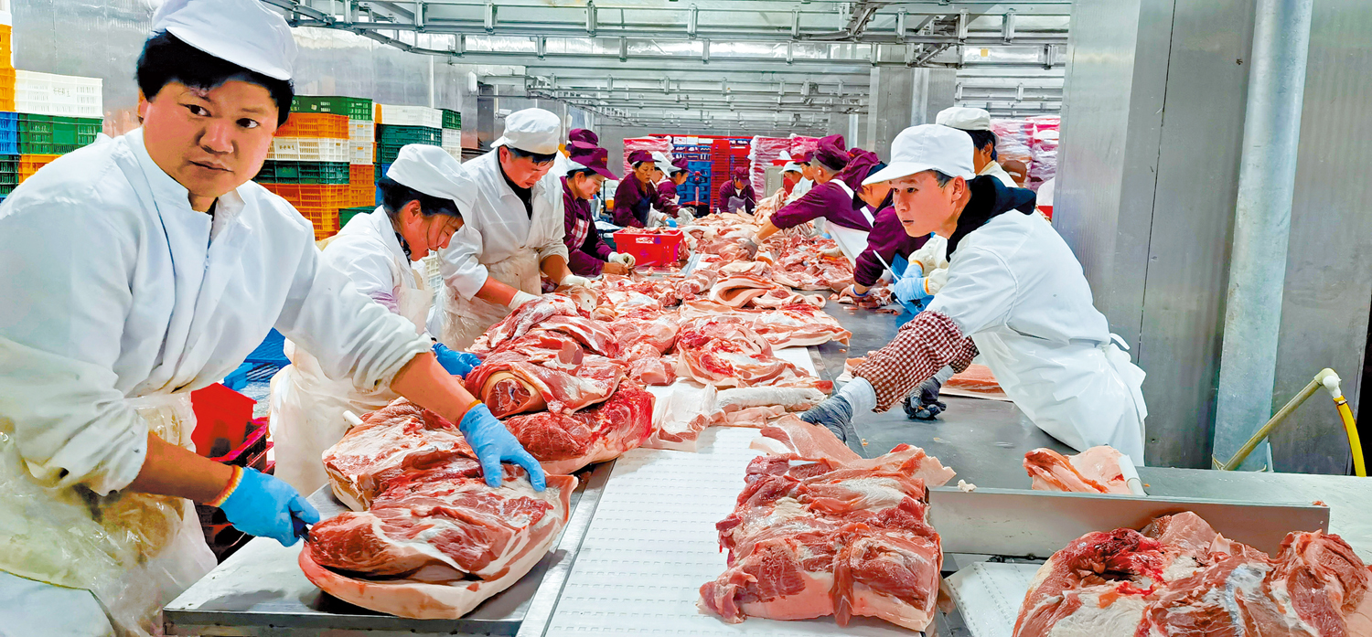 　　圖：在廣西賀州一家屠宰場的分割車間，專業團隊排成一條流水線，將一百多斤的半片白條豬分解成一塊塊豬肉後裝上冷鏈車。