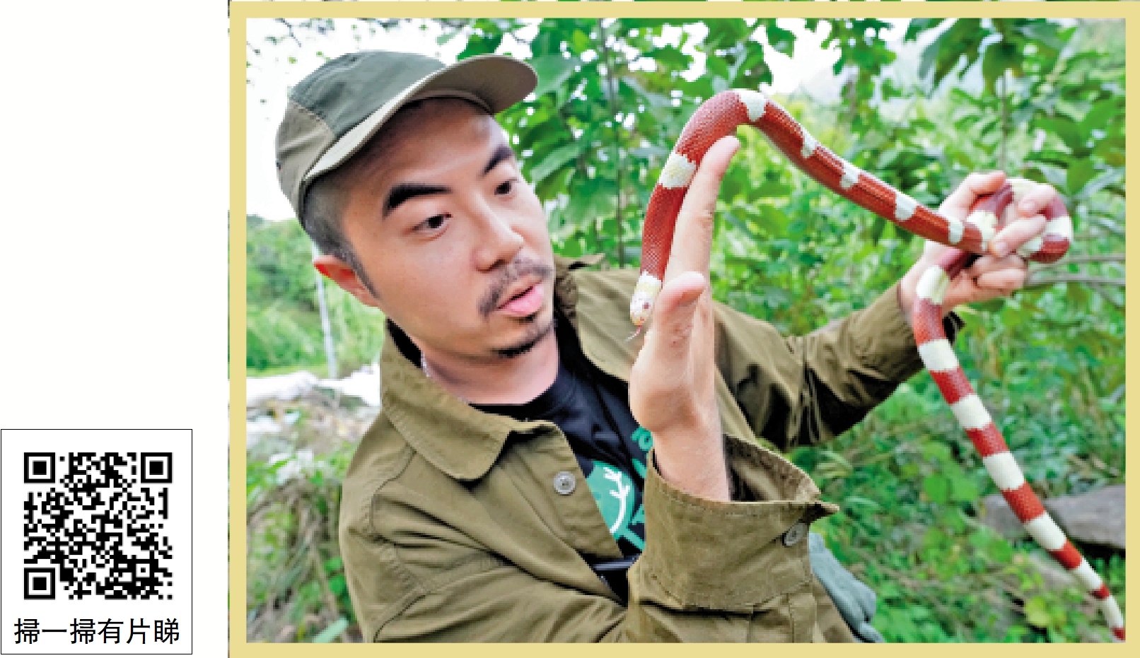 圖:捉蛇專家李逸朗表示,不少市民發現社區或家裏出現蛇,會慌亂而逃,甚至會出手打蛇,做法既危險,也容易讓蛇受傷。
