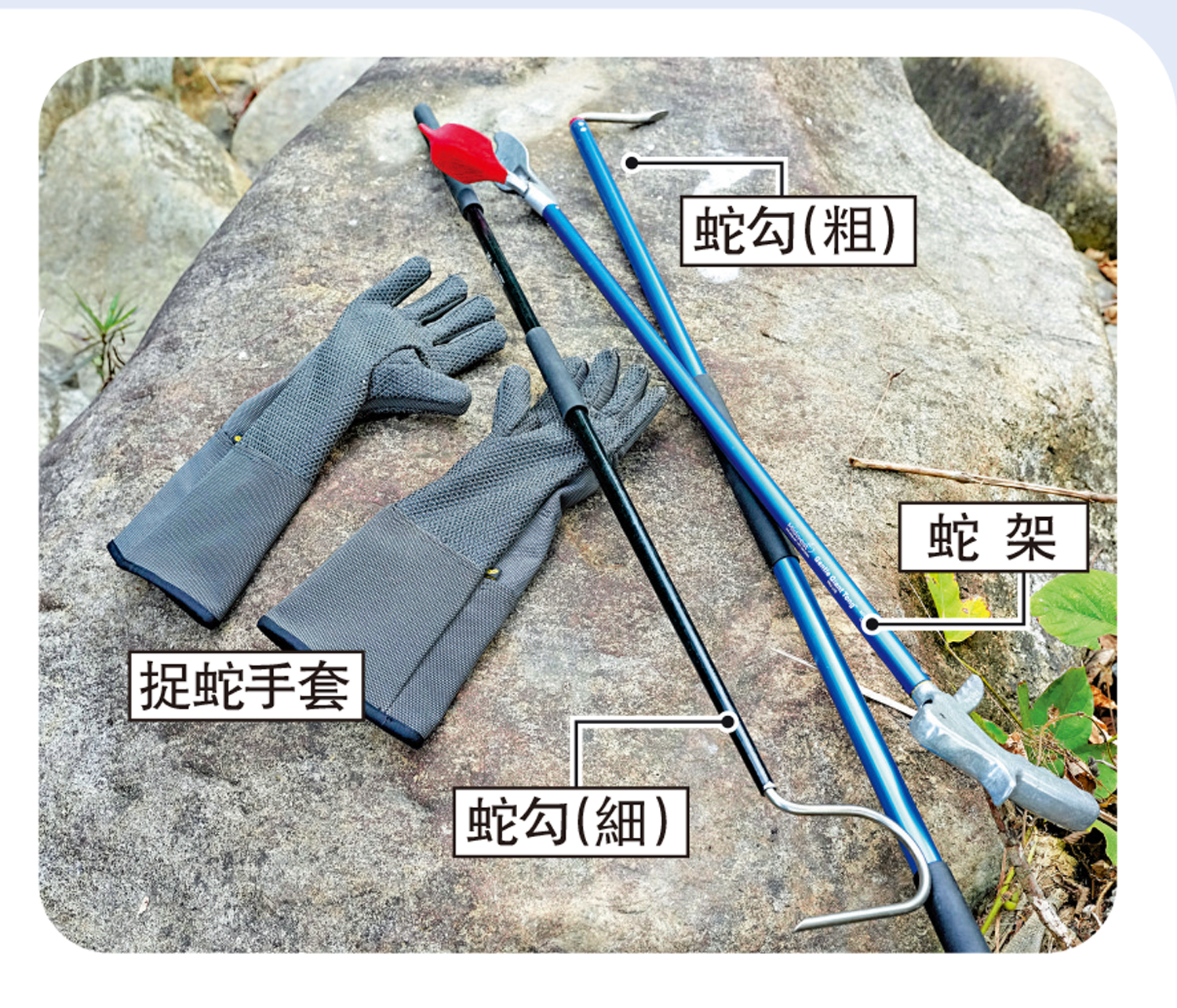 圖:捕蛇工具一覽