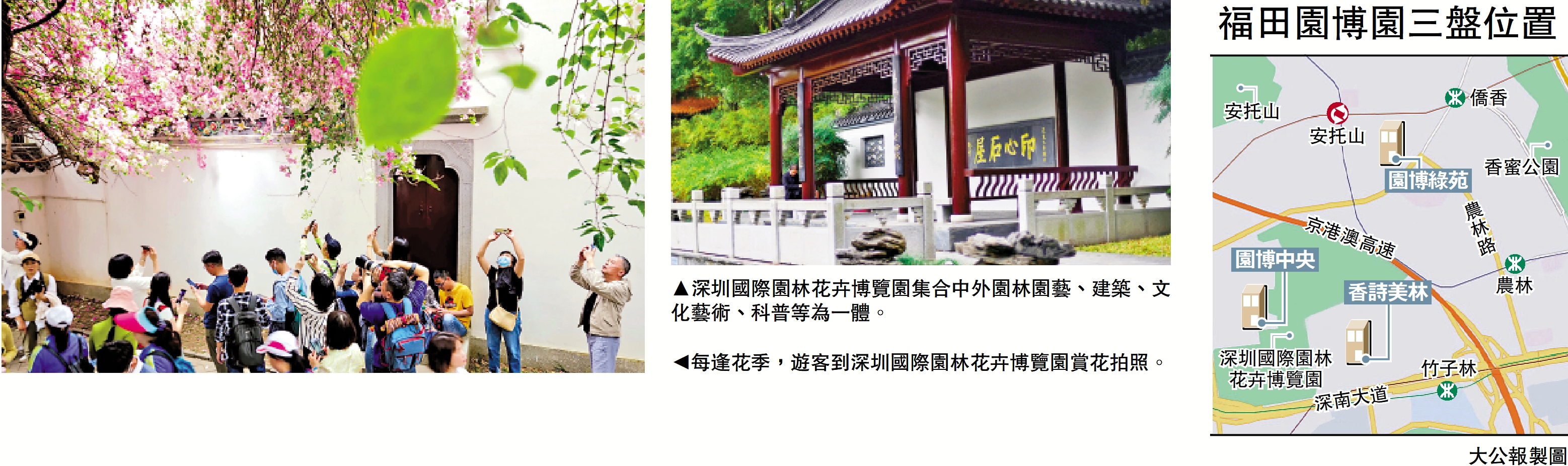 右圖:深圳國際園林花卉博覽園集合中外園林園藝、建築、文化藝術、科普等為一體。左圖:每逢花季,遊客到深圳國際園林花卉博覽園賞花拍照。