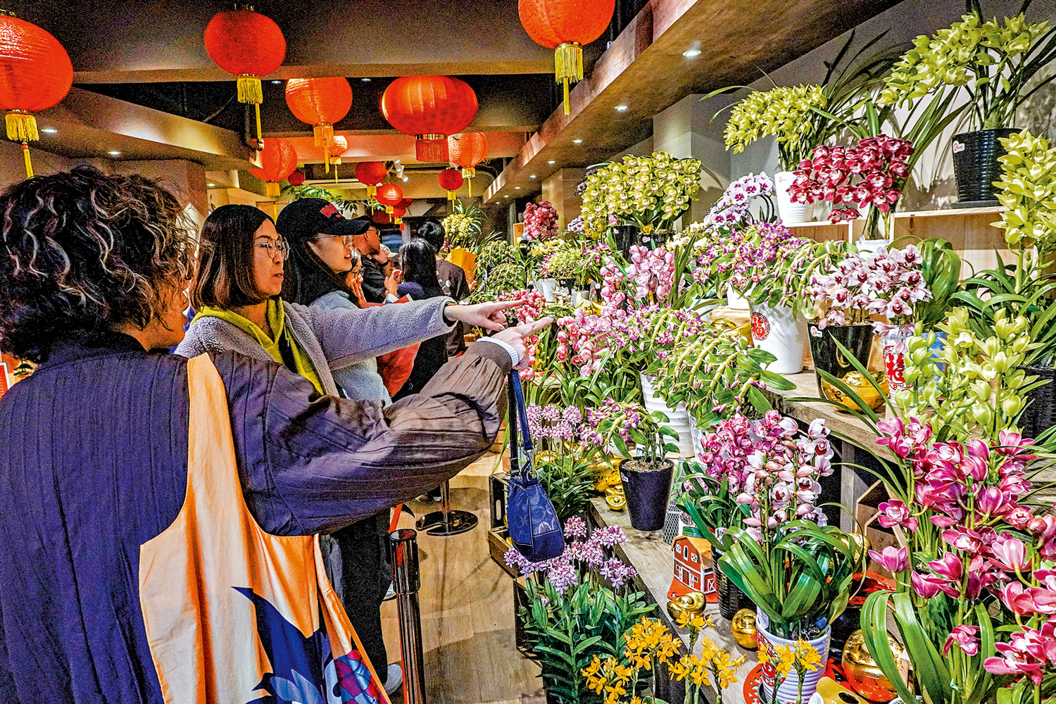 圖:農曆春節將至,香港各大年宵花市、花墟迎來大批顧客,市民紛紛購買年花,為新年討個好彩頭。\香港中通社