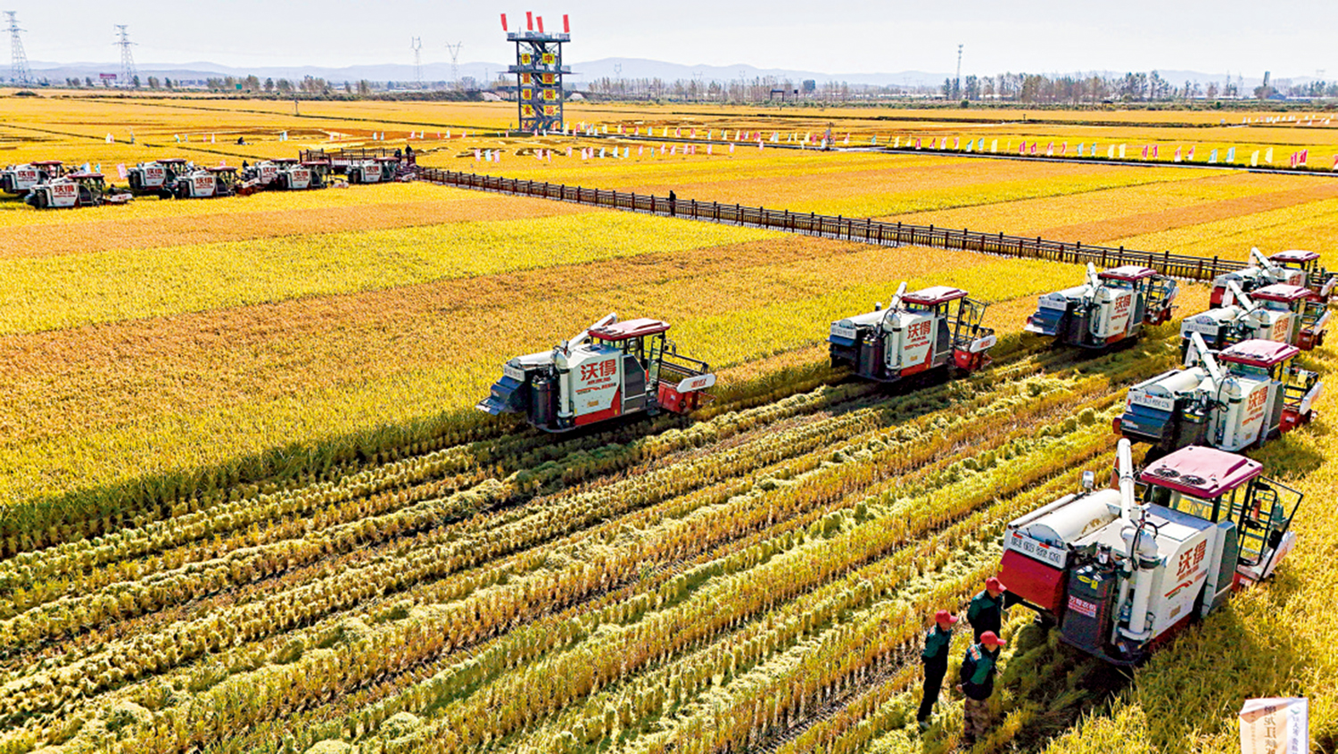 　　圖：2024年9月22日，農機在黑龍江哈爾濱方正縣的稻田中作業。\新華社