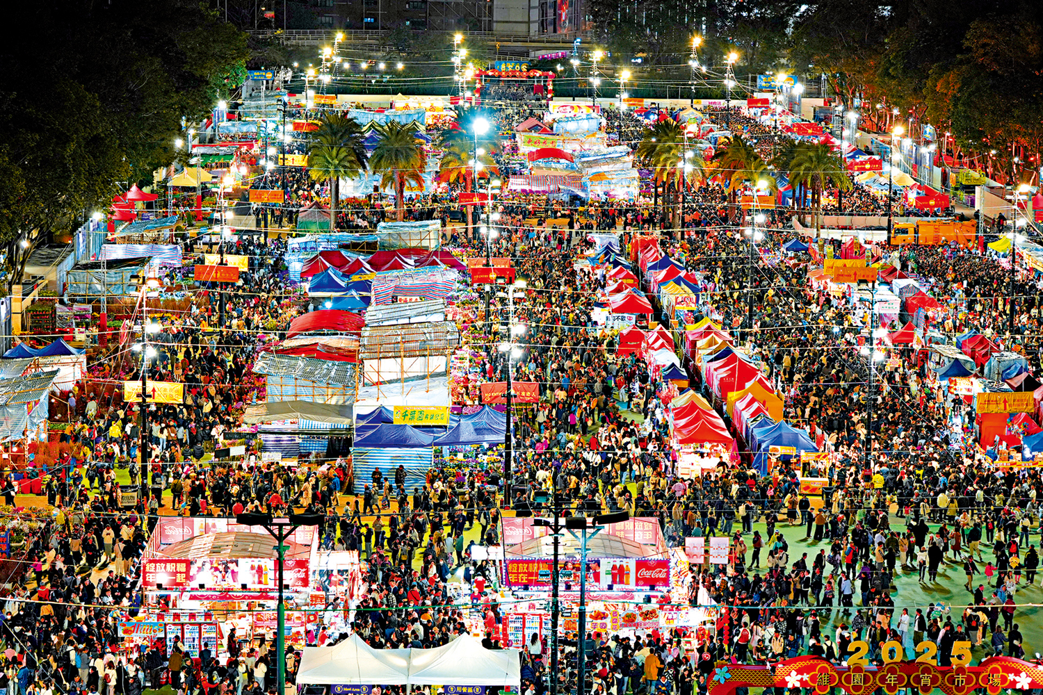 　　圖：農曆新年將至，香港市民行大運過蛇年。全港最大最旺的維園年宵市場今年共設近四百個乾濕攤位，雖然昨天天氣轉冷，但無損市民行花市興致，維園花市入夜後人山人海，商戶表示，期望將全部貨品賣出「過肥年」。\大公報記者鄭雷攝