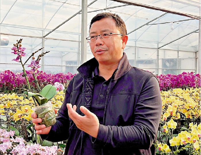 圖:魏南斌表示,蝴蝶蘭變成一年四季都受人喜愛的花品。