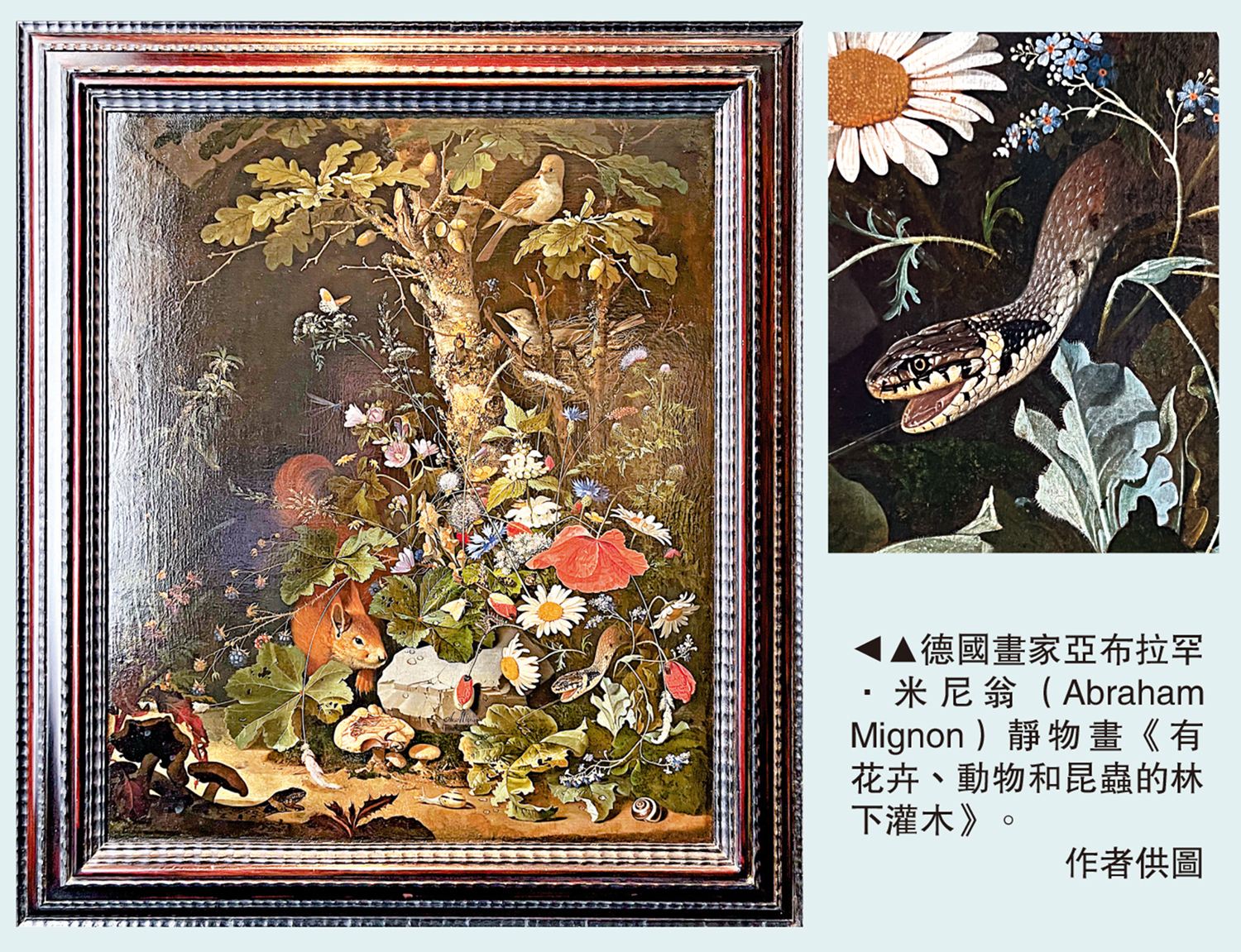 圖:德國畫家亞布拉罕·米尼翁(Abraham Mignon)靜物畫《有花卉、動物和昆蟲的林下灌木》。\作者供圖