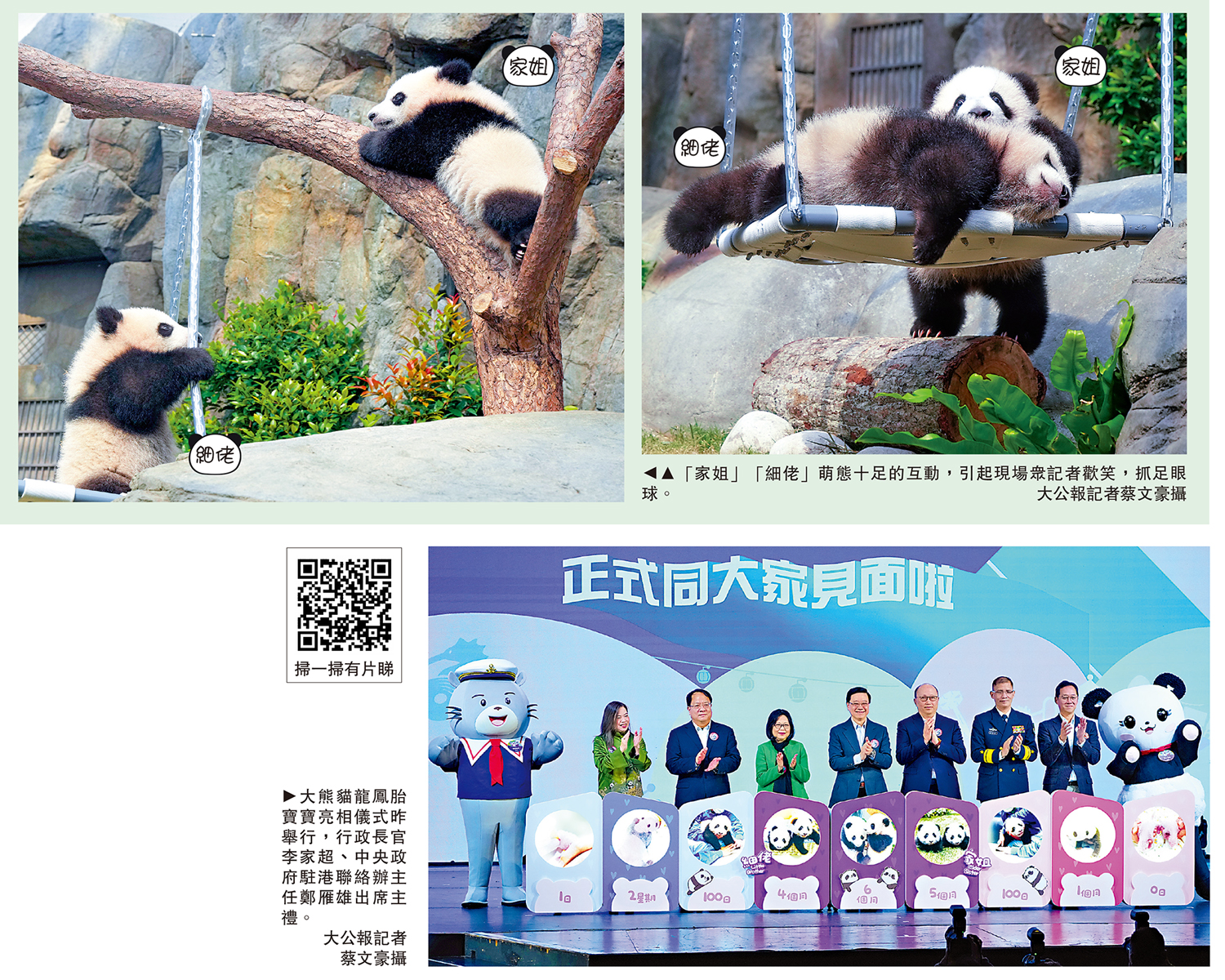 　　上圖：「家姐」「細佬」萌態十足的互動，引起現場眾記者歡笑，抓足眼球。下圖：大熊貓龍鳳胎寶寶亮相儀式昨舉行，行政長官李家超、中央政府駐港聯絡辦主任鄭雁雄出席主禮。\大公報記者蔡文豪攝