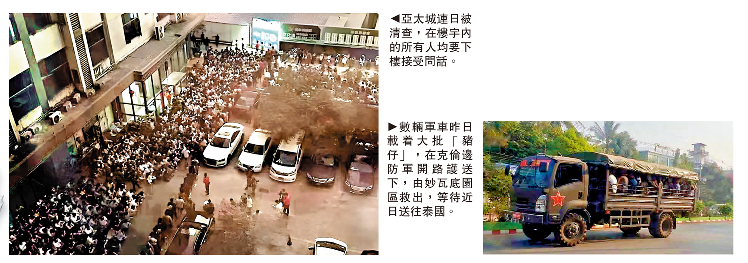 左圖:亞太城連日被清查,在樓宇內的所有人均要下樓接受問話。右圖:數輛軍車昨日載着大批「豬仔」,在克倫邊防軍開路護送下,由妙瓦底園區救出,等待近日送往泰國。