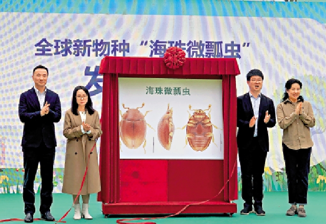 圖:全球新物種「海珠微瓢蟲」發布儀式在廣州舉行。\大公報記者方俊明攝