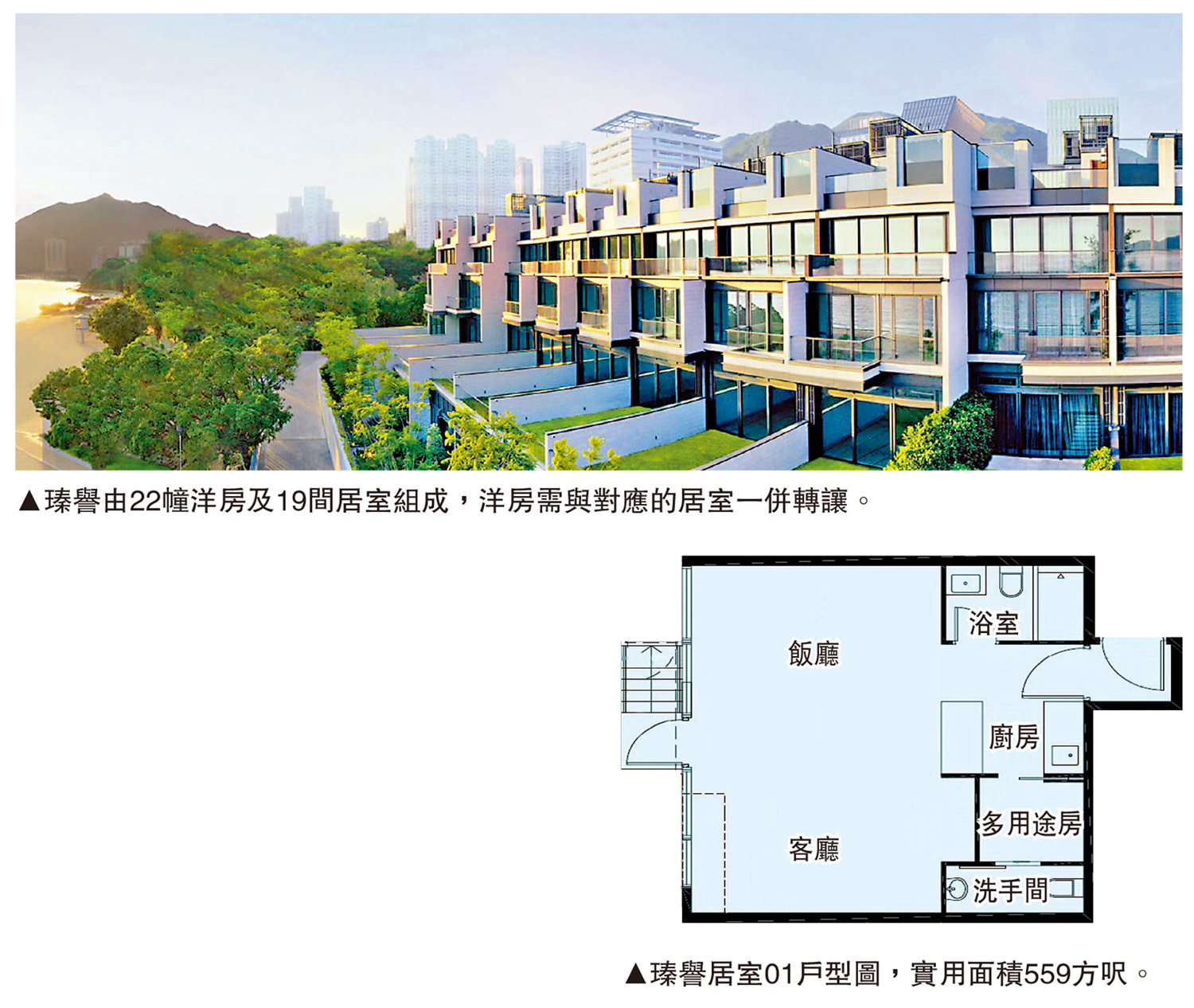 　　上圖：瑧譽由22幢洋房及19間居室組成，洋房需與對應的居室一併轉讓。下圖：瑧譽居室01戶型圖，實用面積559方呎。