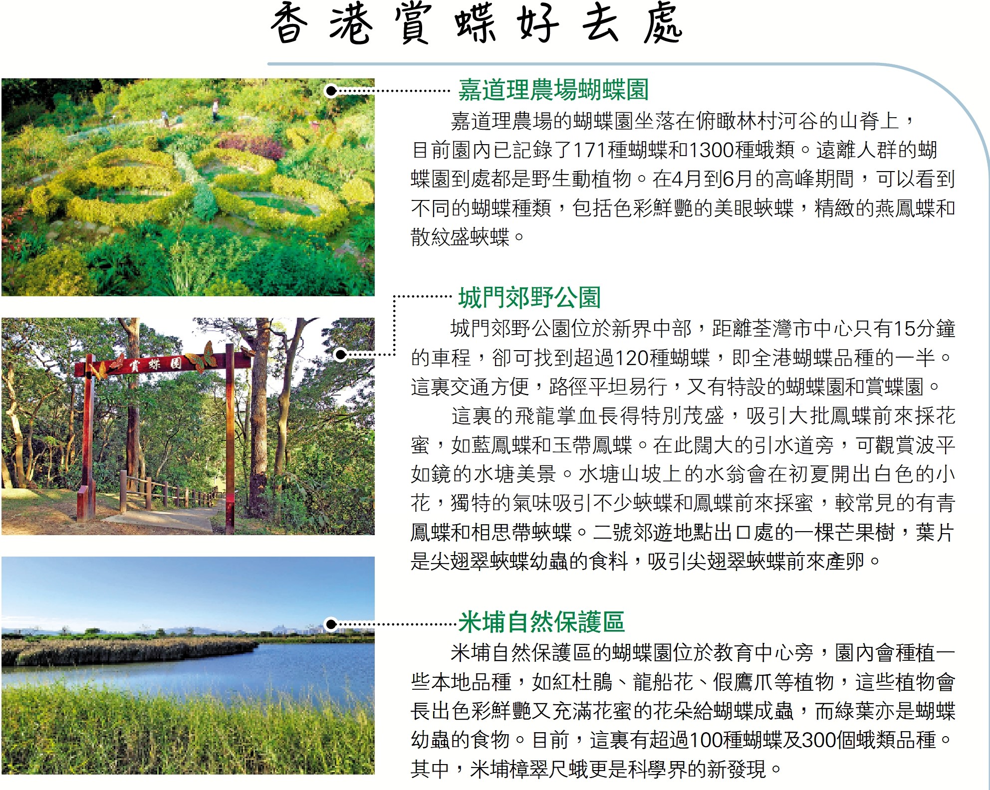 圖:香港賞蝶好去處