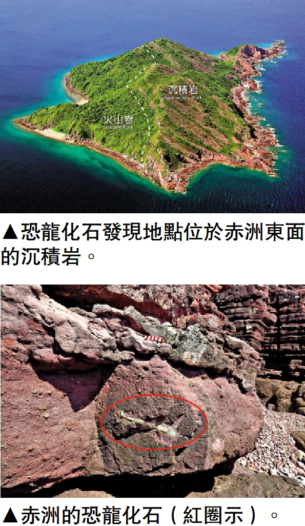 上圖:恐龍化石發現地點位於赤洲東面的沉積岩。下圖:赤洲的恐龍化石(紅圈示)。