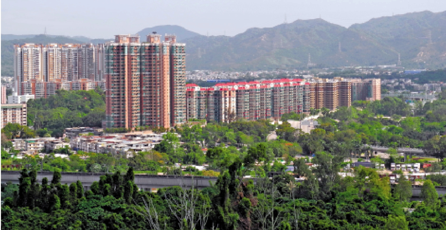 　　圖：元朗區2月迄今錄得至少7宗短炒賺錢個案。