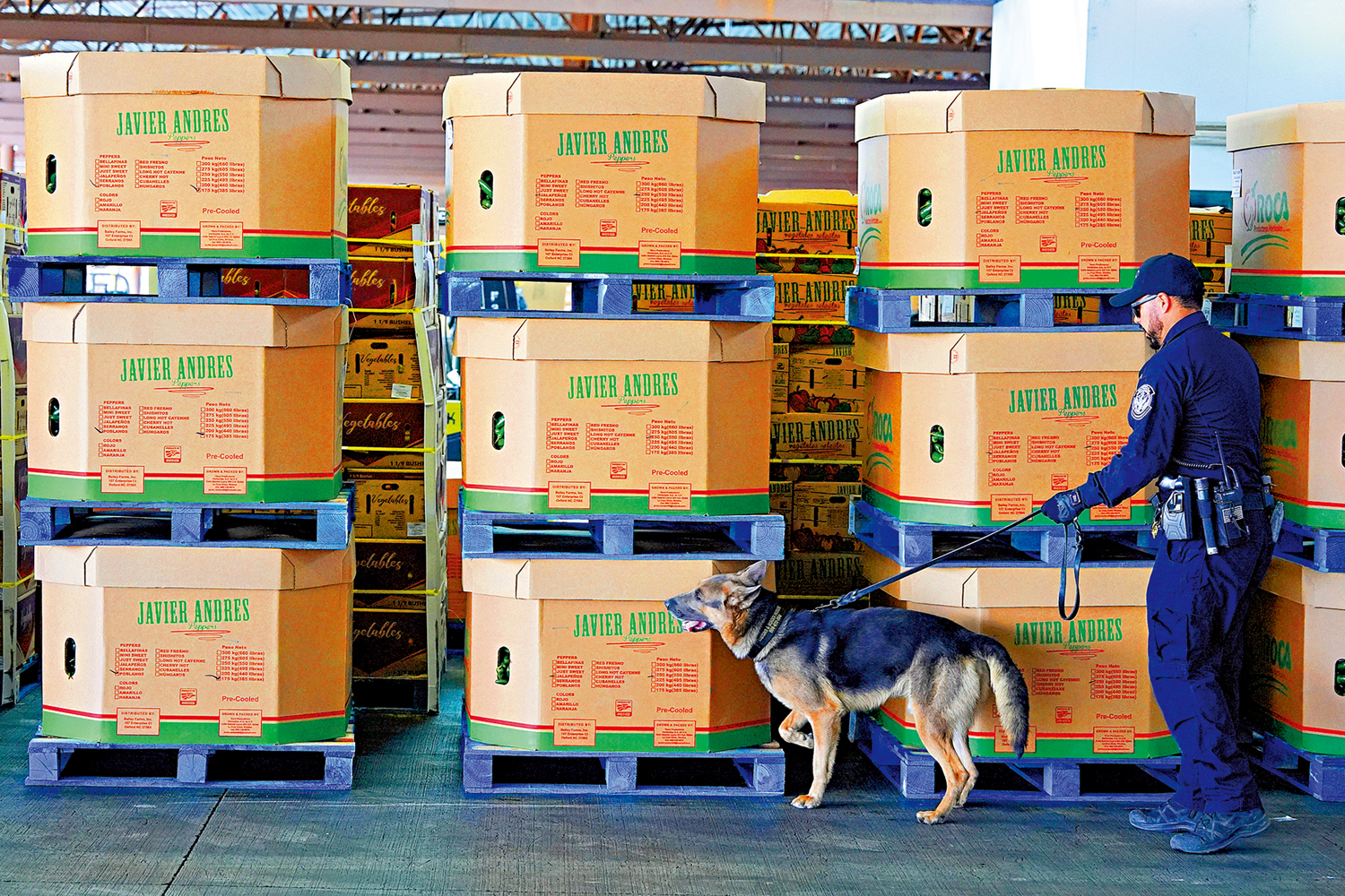 　　圖：美國邊境執法人員15日在亞利桑那州檢查入境貨物。\美聯社