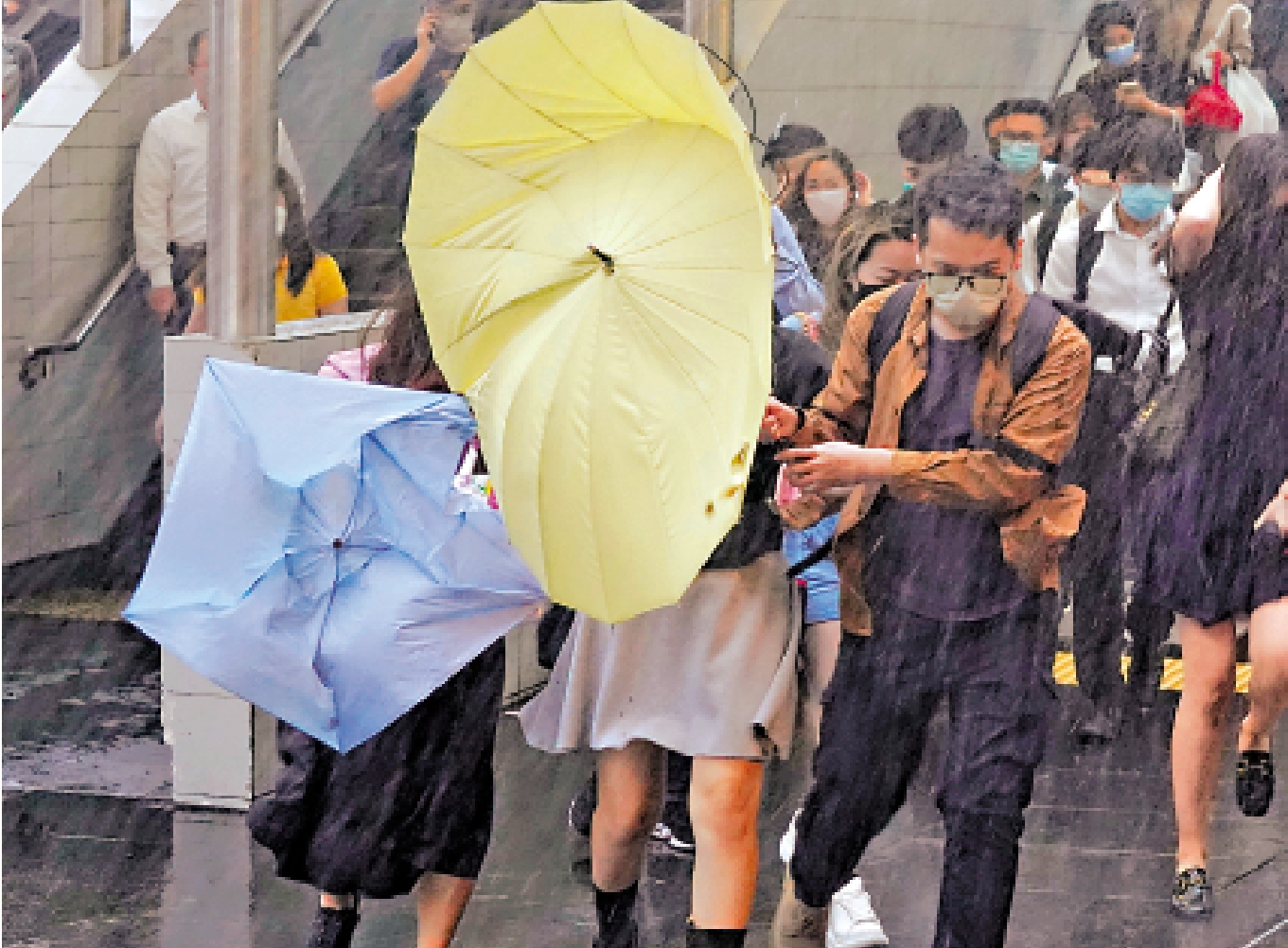 圖:天文台預計,今年約有五至八個熱帶氣旋進入香港五百公里範圍。