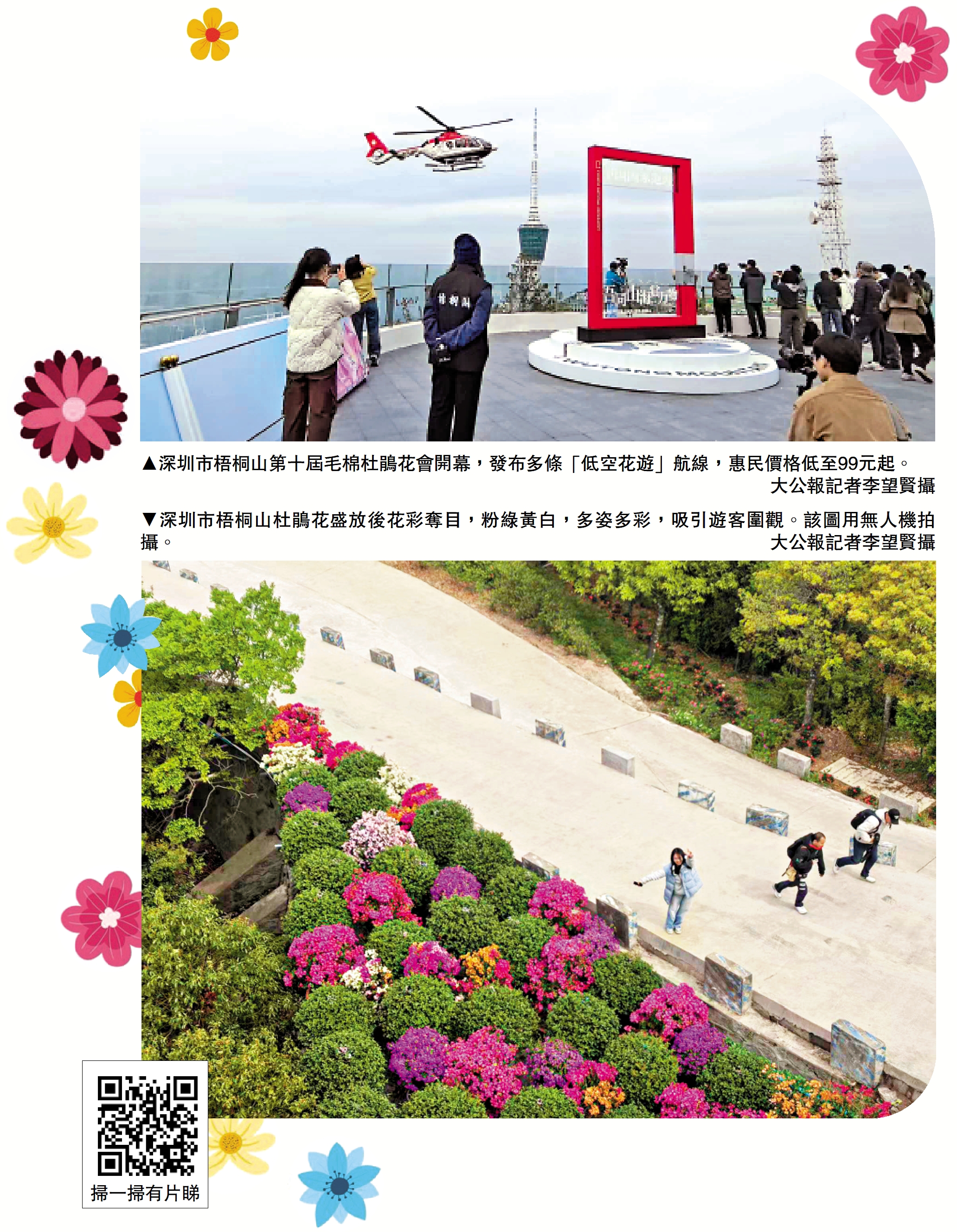 上圖:深圳市梧桐山第十屆毛棉杜鵑花會開幕,發布多條「低空花遊」航線,惠民價格低至99元起。\大公報記者李望賢攝;下圖:深圳市梧桐山杜鵑花盛放後花彩奪目,粉綠黃白,多姿多彩,吸引遊客圍觀。該圖用無人機拍攝。\大公報記者李望賢攝